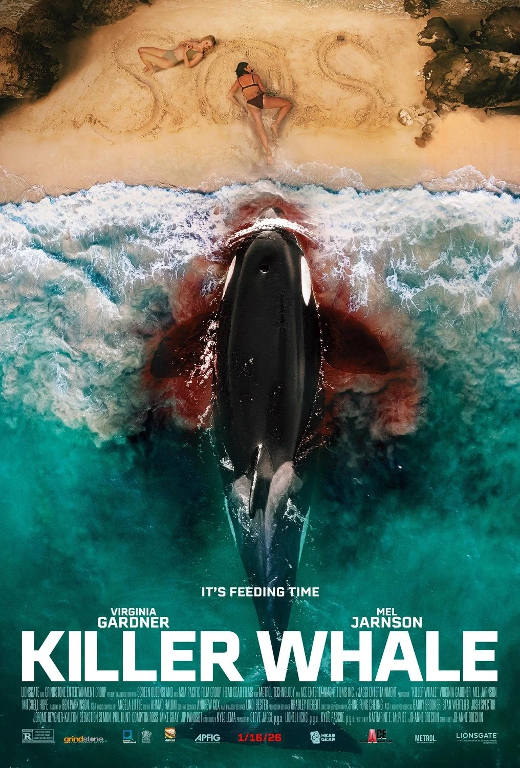 KillerWhale.jpg