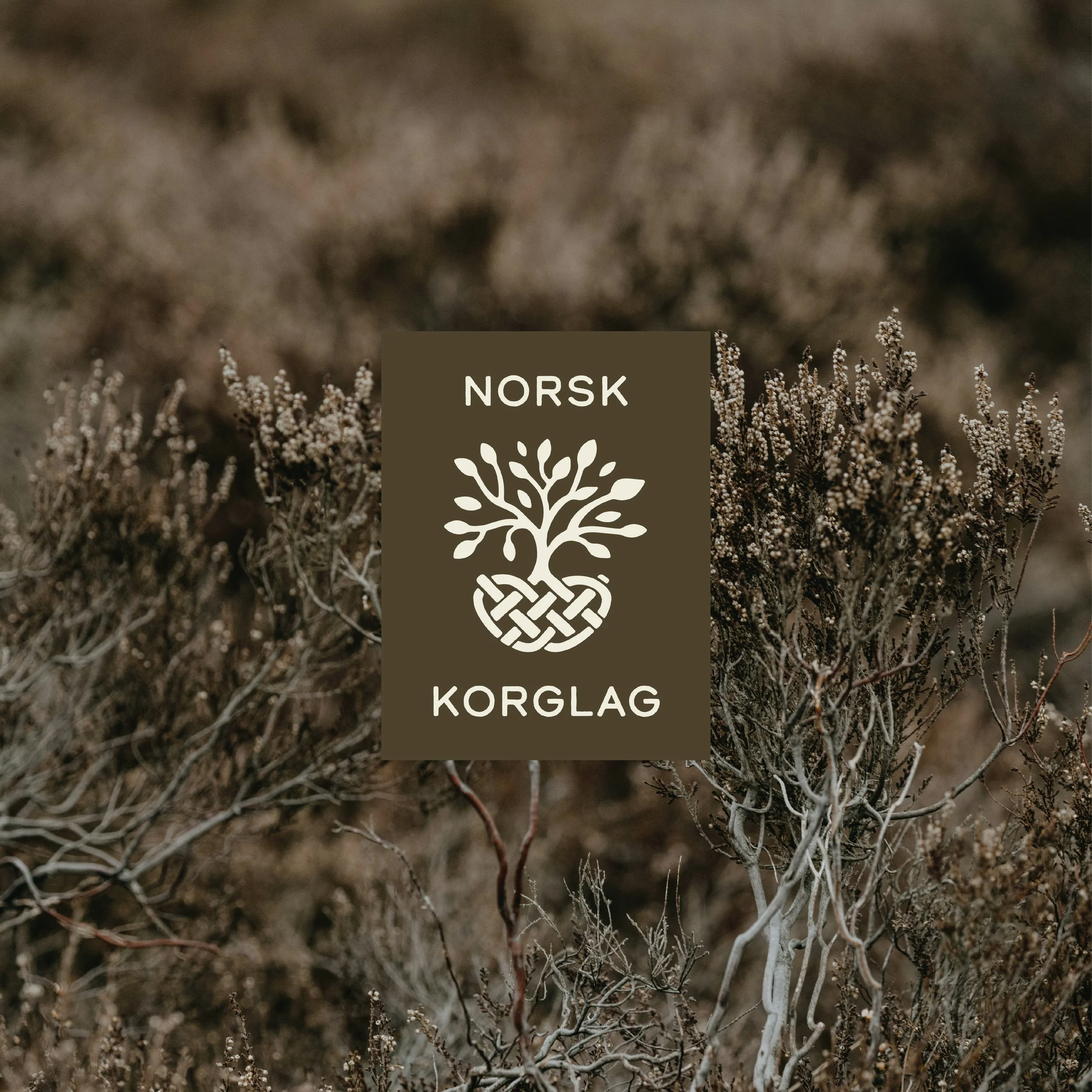 Norsk Korglag