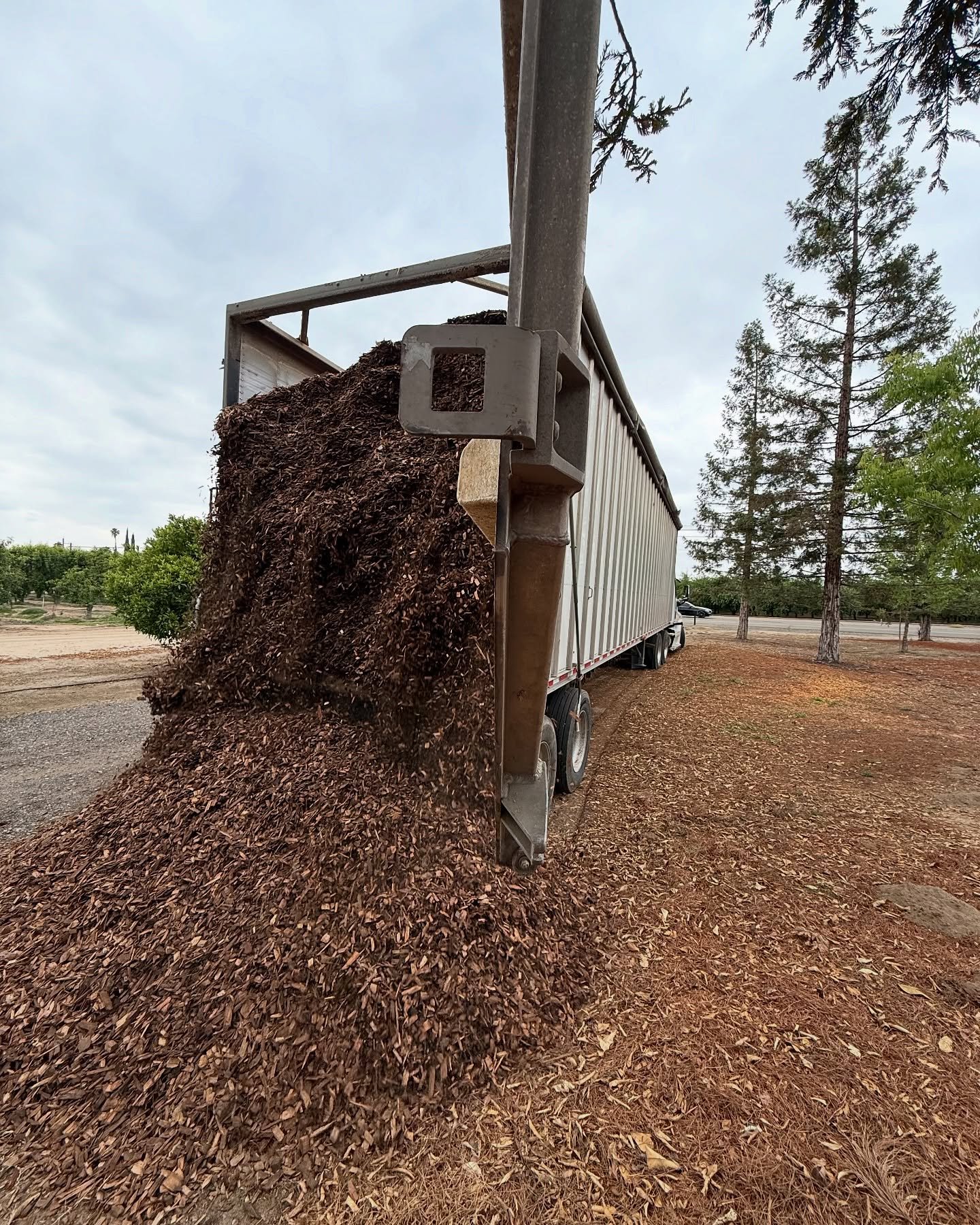 Need bulk bark? No worries we got you covered!! Be sure to reach out and we can get you lined up for a delivery! Best price in the Valley!