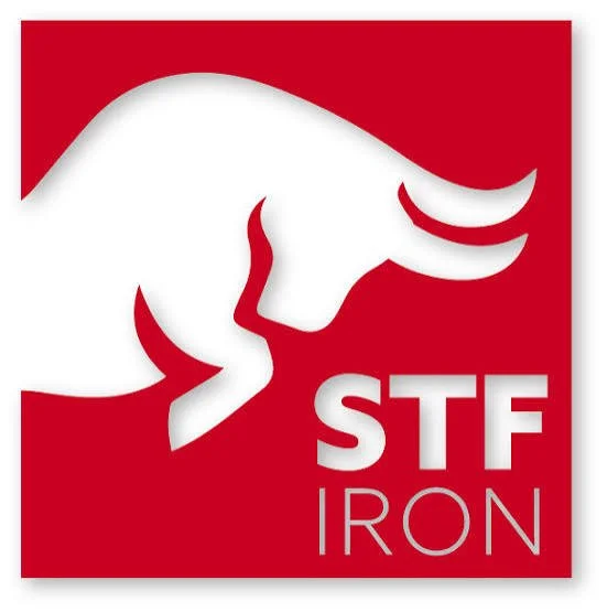 STF.jpeg