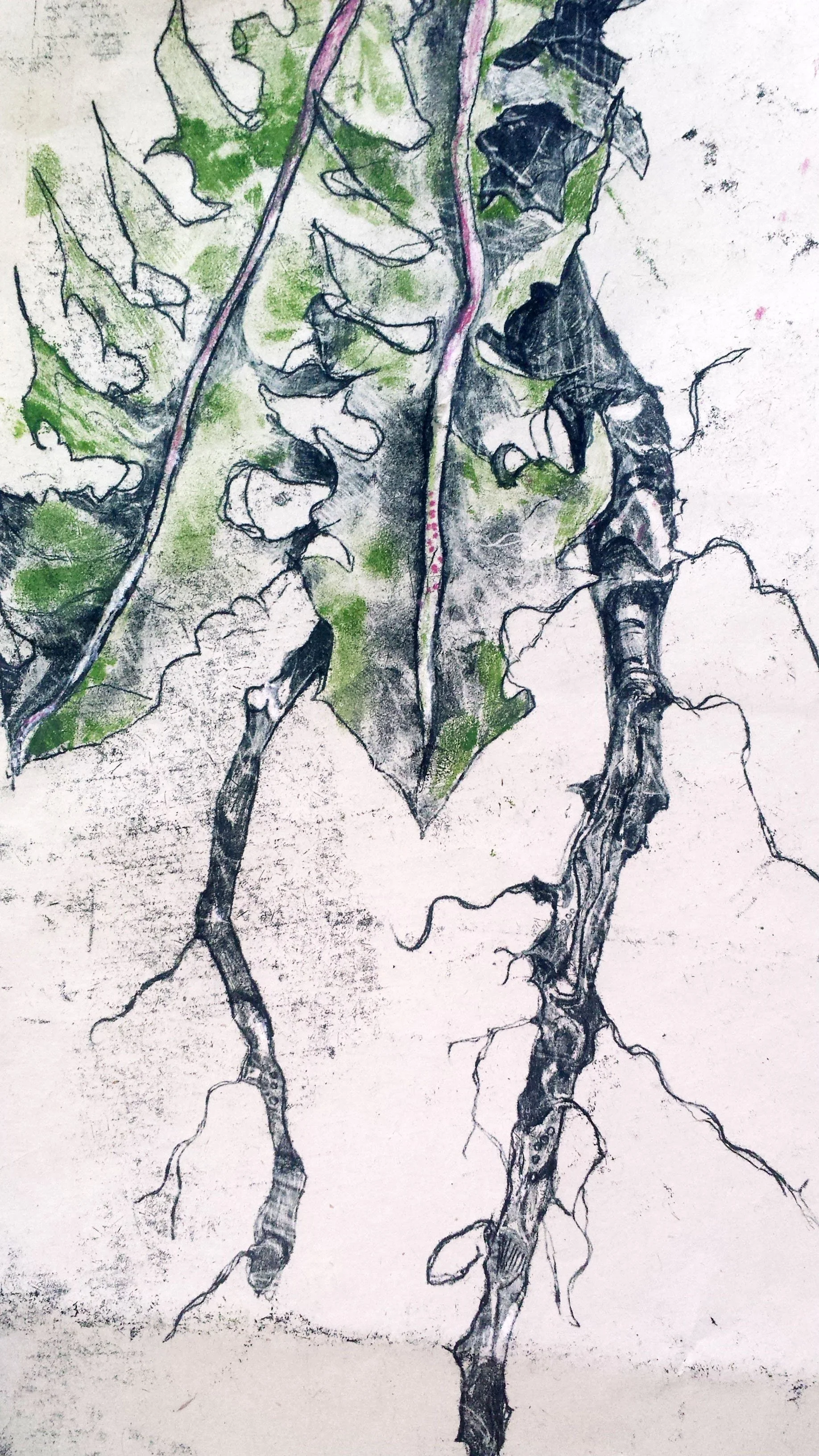 Anita Gwynn: Wildflowers and L.P.s - it's a thing