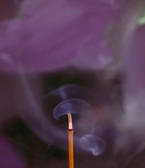 I’m Not in Your Dream or Imagination