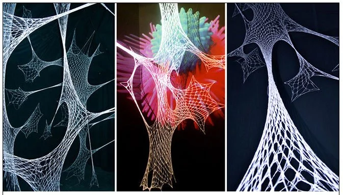 Sara Willett: SPECTRE