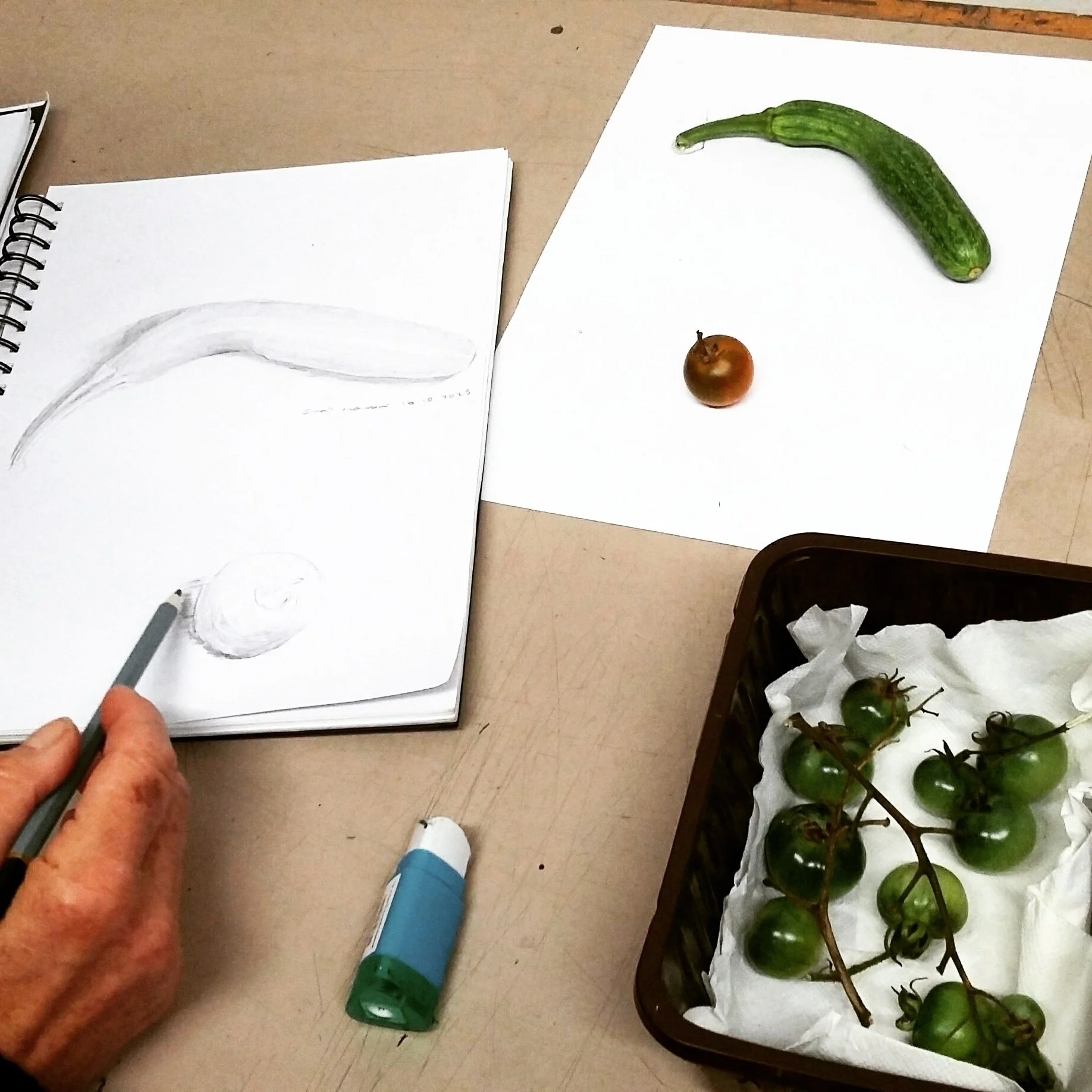 Botanical student . View of sketcbook, work in progress.jpg