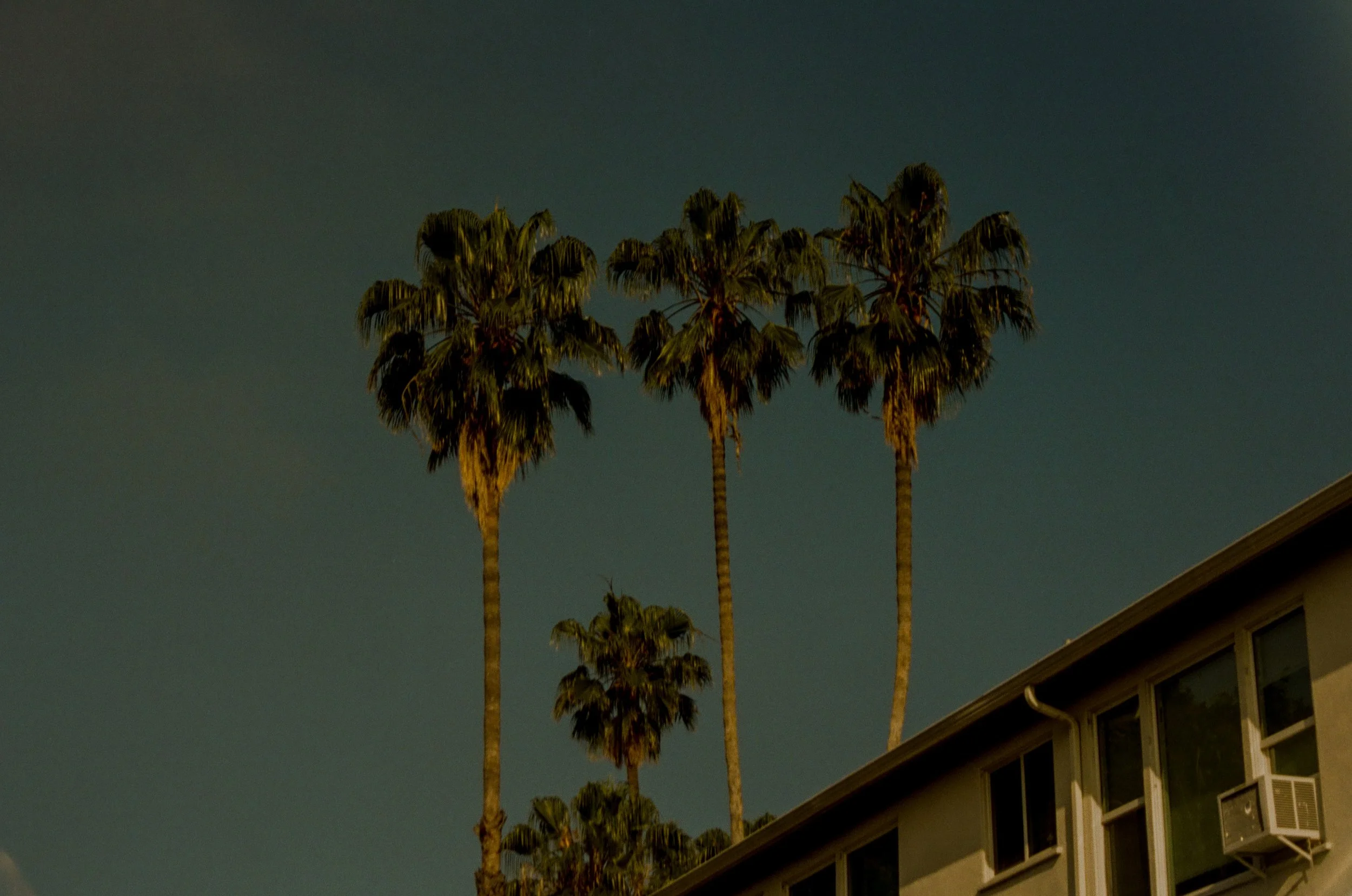 Film-Cali-Vegas-2026-30.jpg