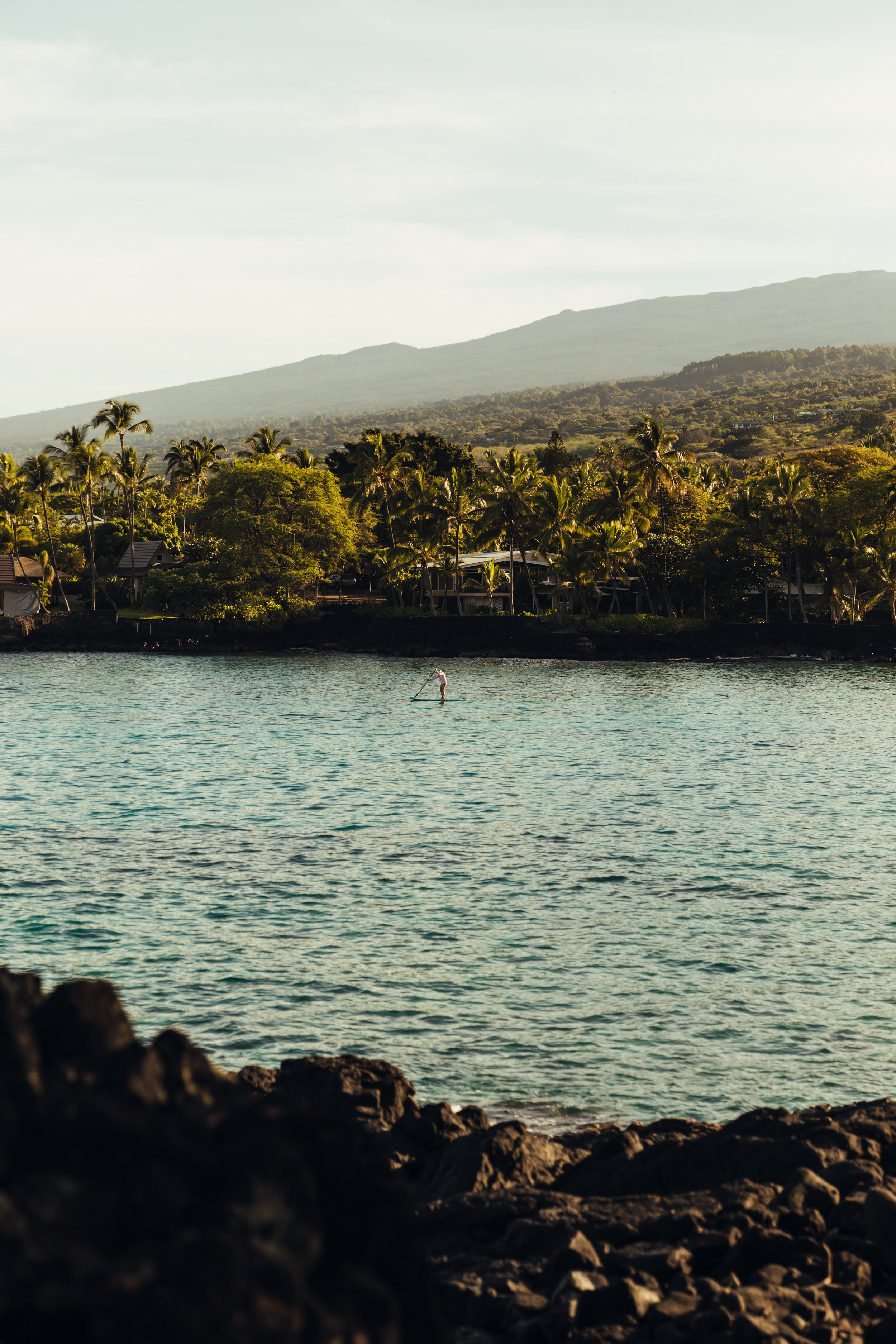 WildRemembrance_Hawaii2024-9.jpg
