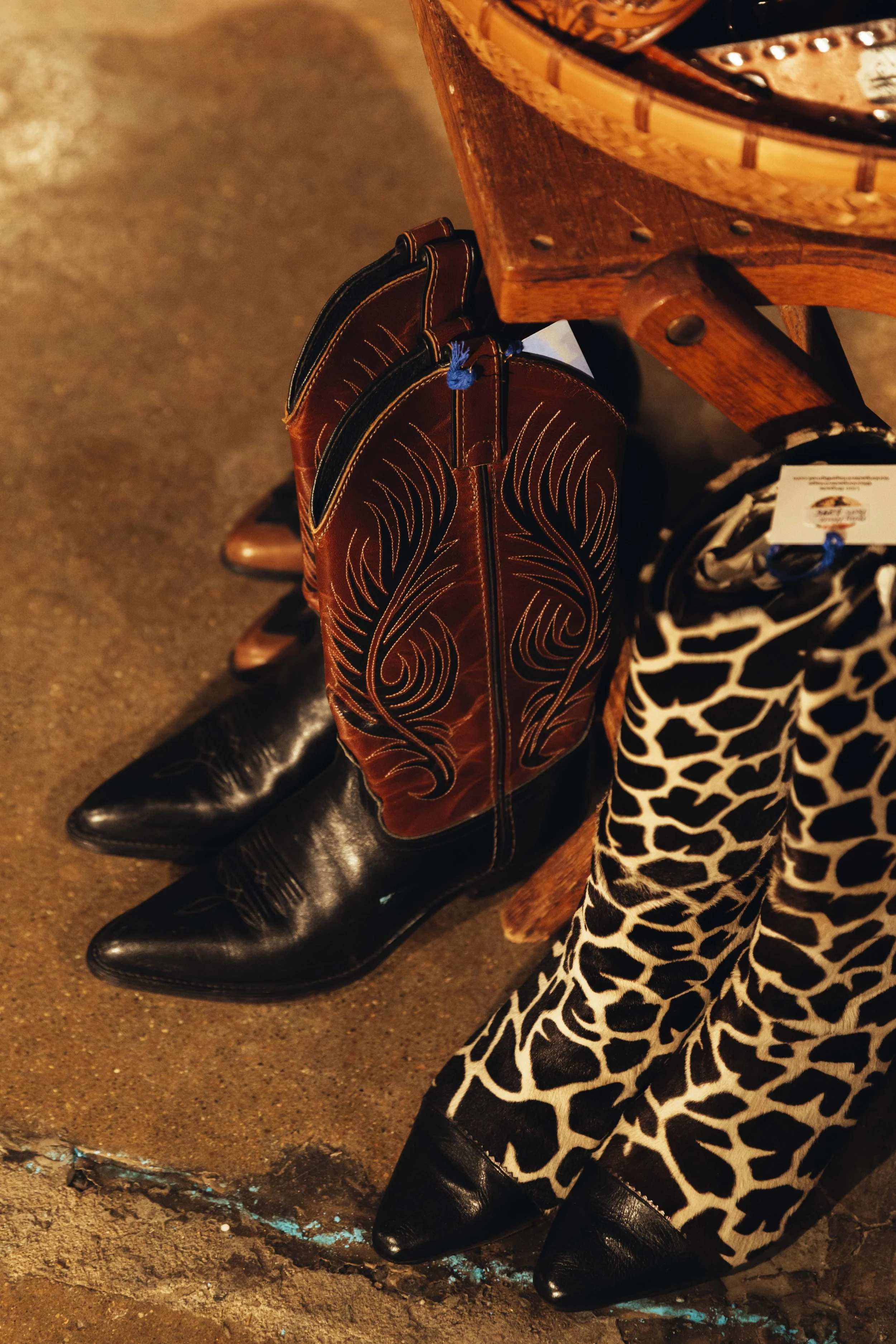 MVSTX_@MariaWurtz_2025-321 (1).jpg