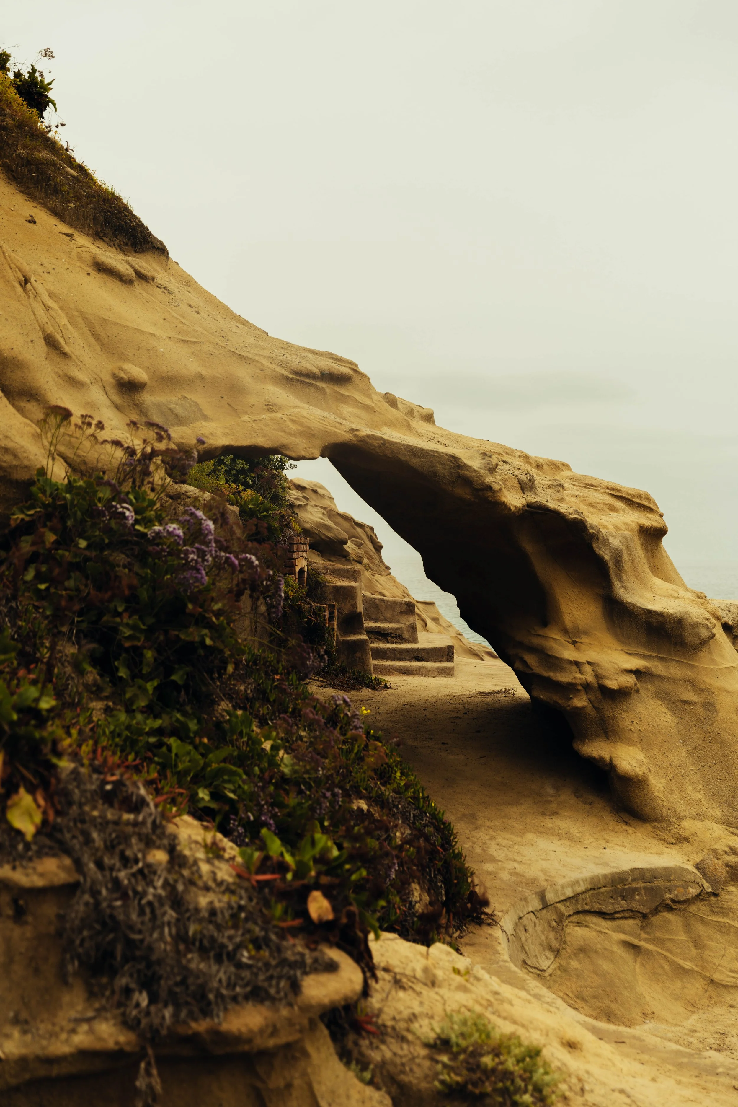 Cali-MarchMermaidCave-2026-36.jpg