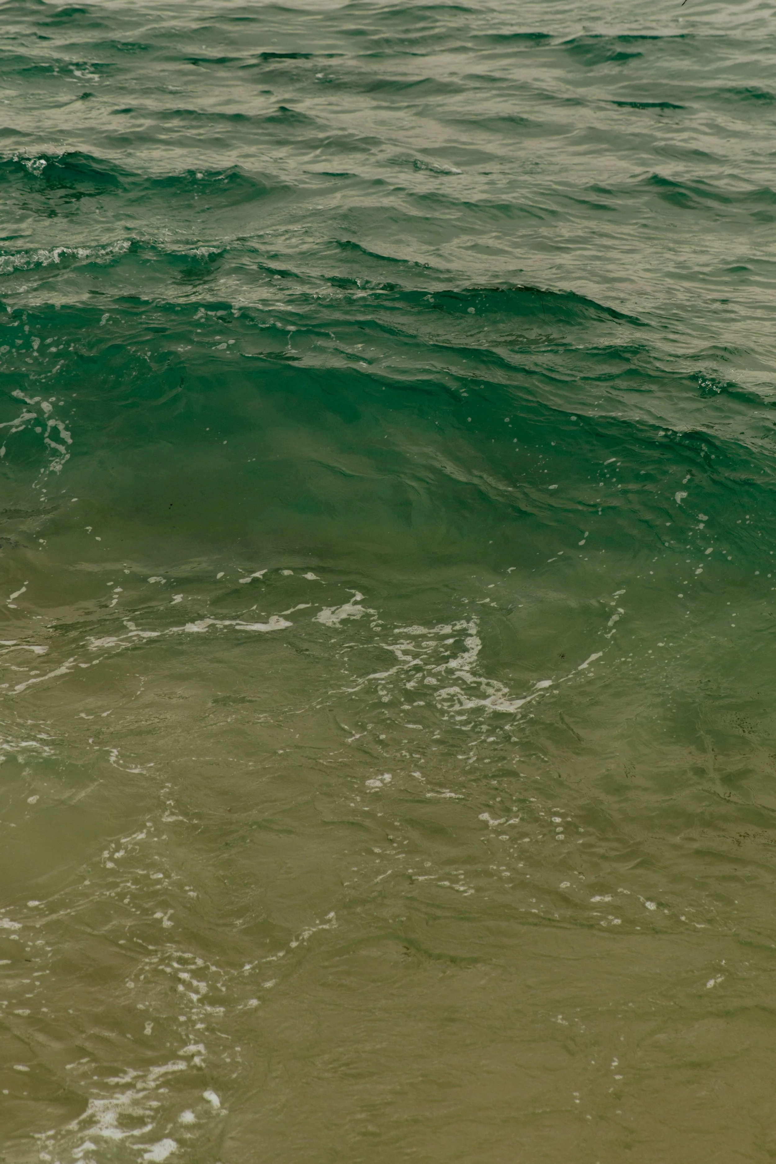 Cali-MarchMermaidCave-2026-32.jpg