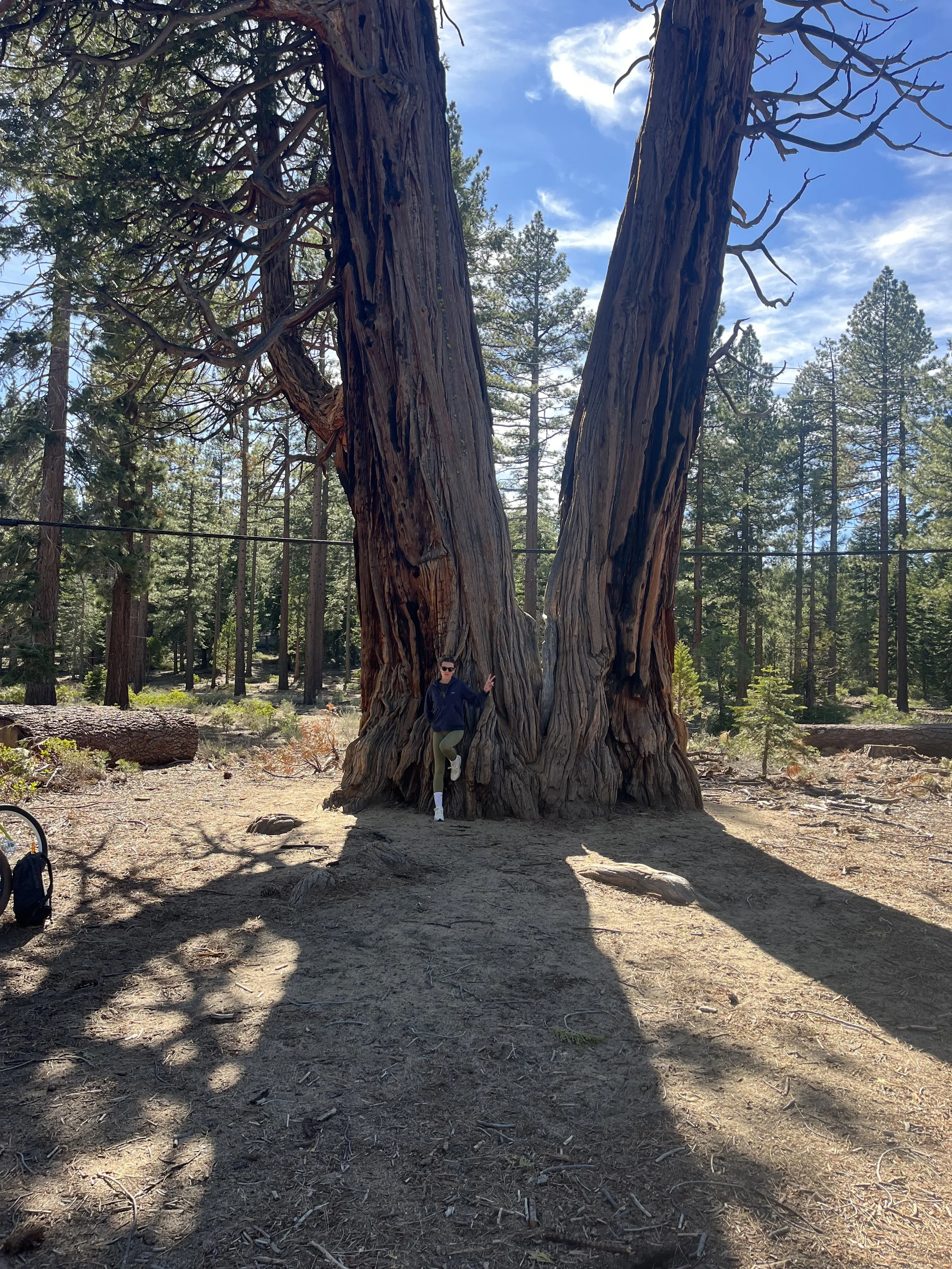 A field trip through the org.