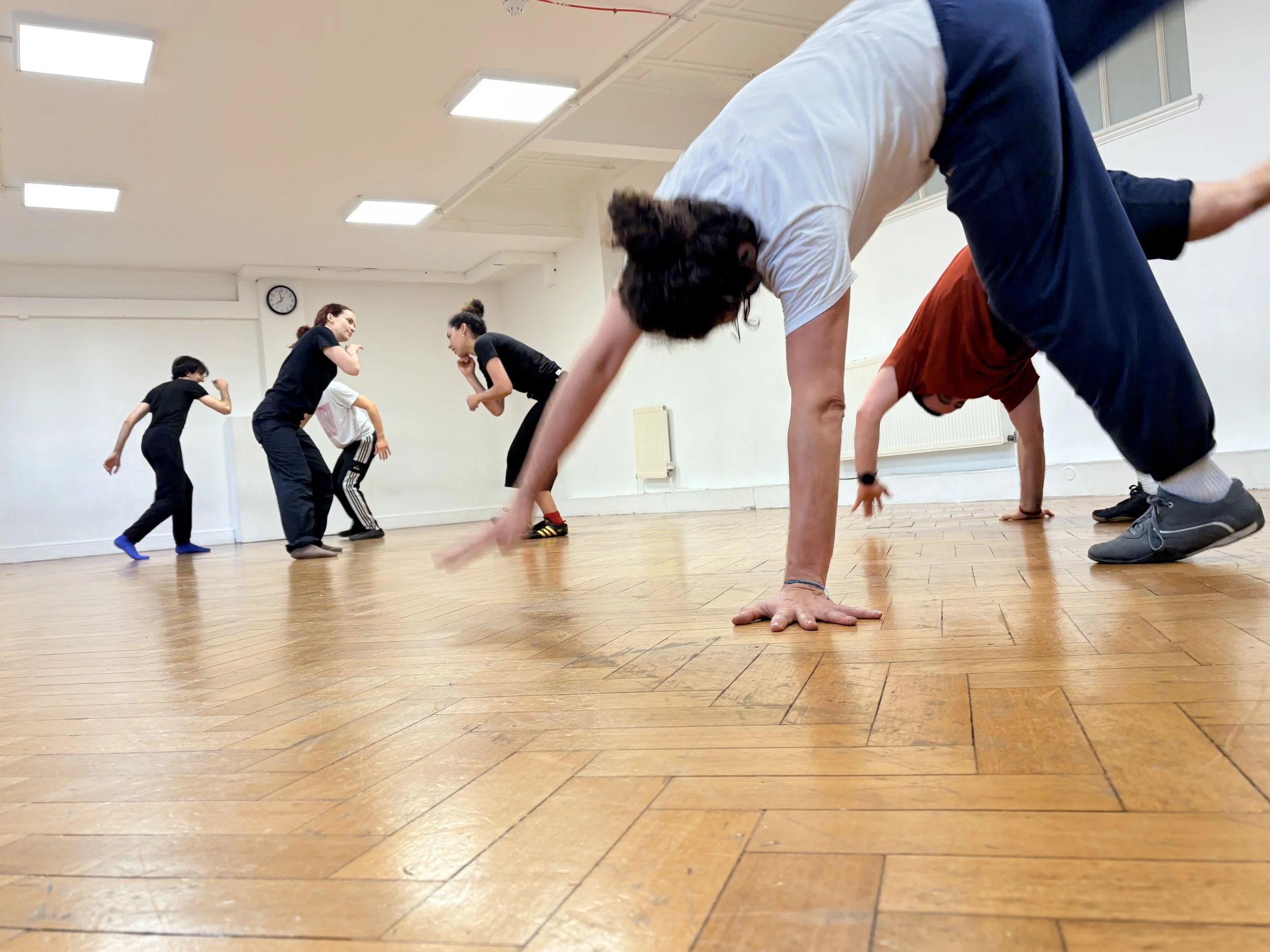 Capoeira Beginners Class - Promotion Package!