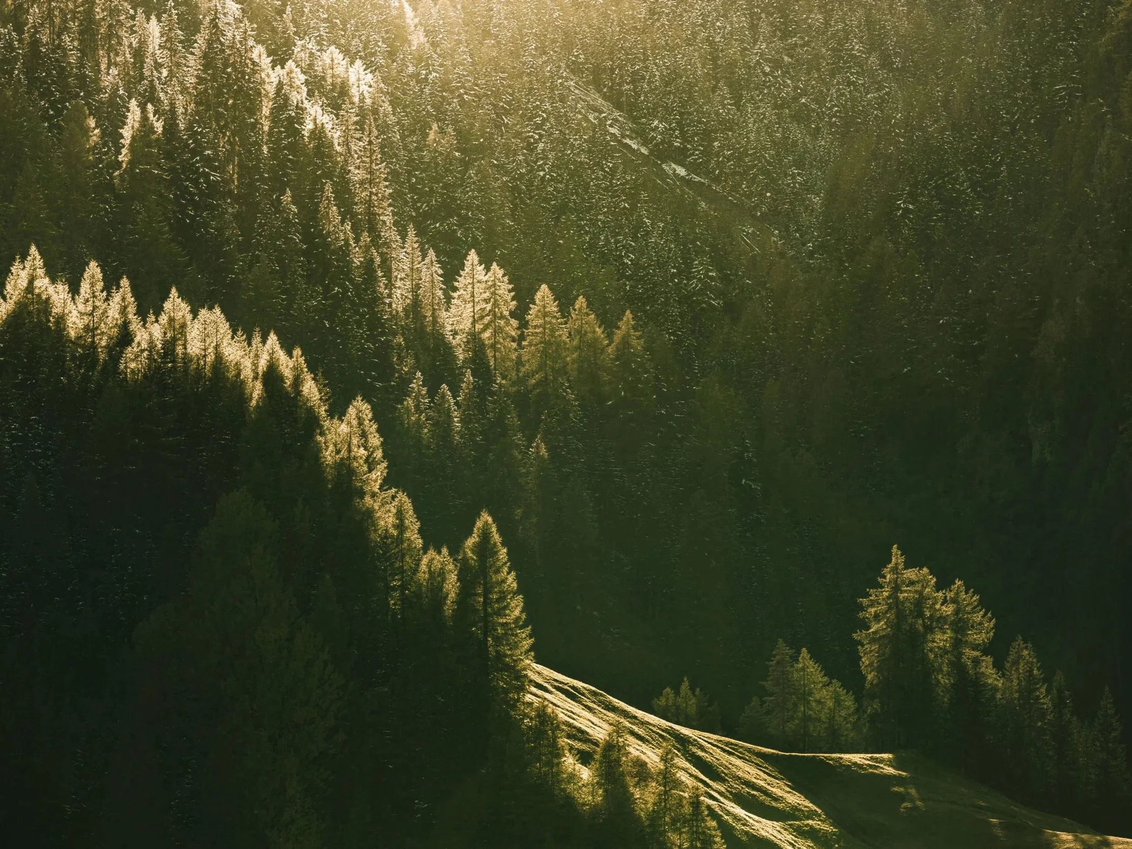 Berglandschaft mit bewaldeten Hängen und Sonnenlicht, das durch die Bäume scheint.