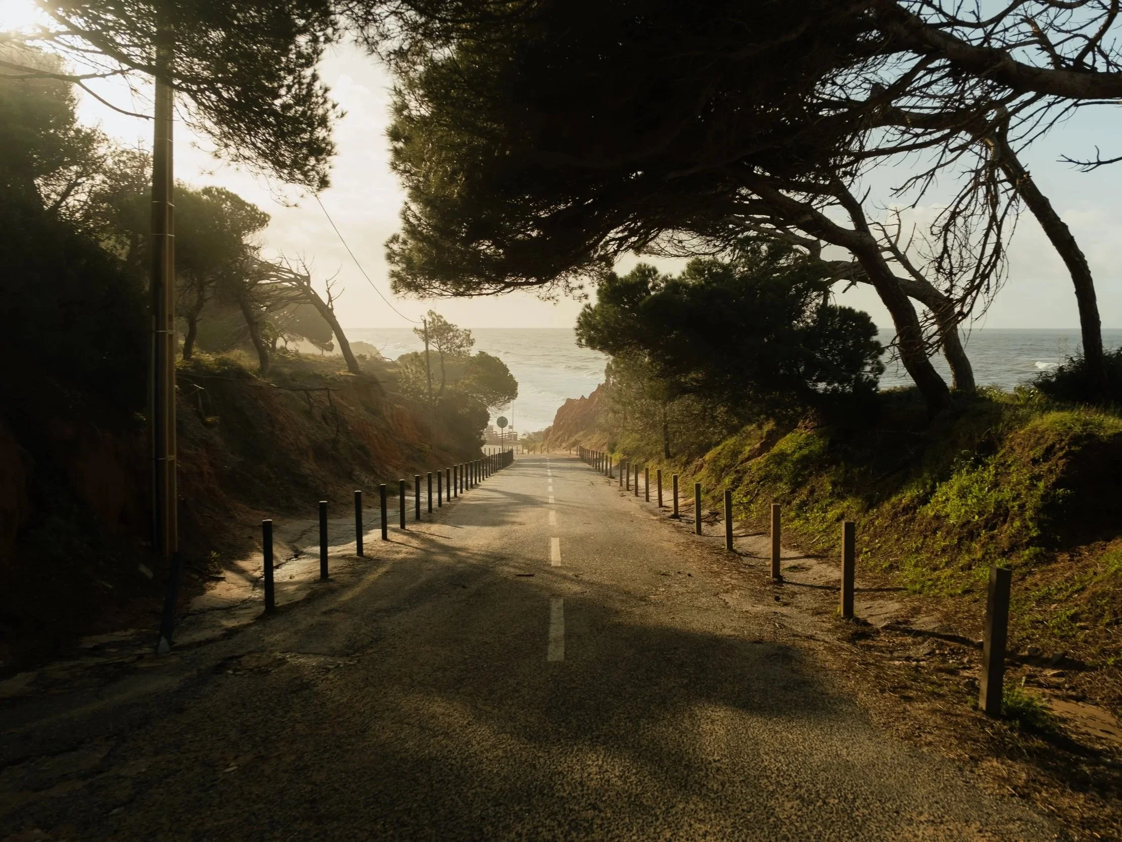 Straße am Meer, umgeben von Bäumen, Sonnenlicht, Meereswellen im Hintergrund