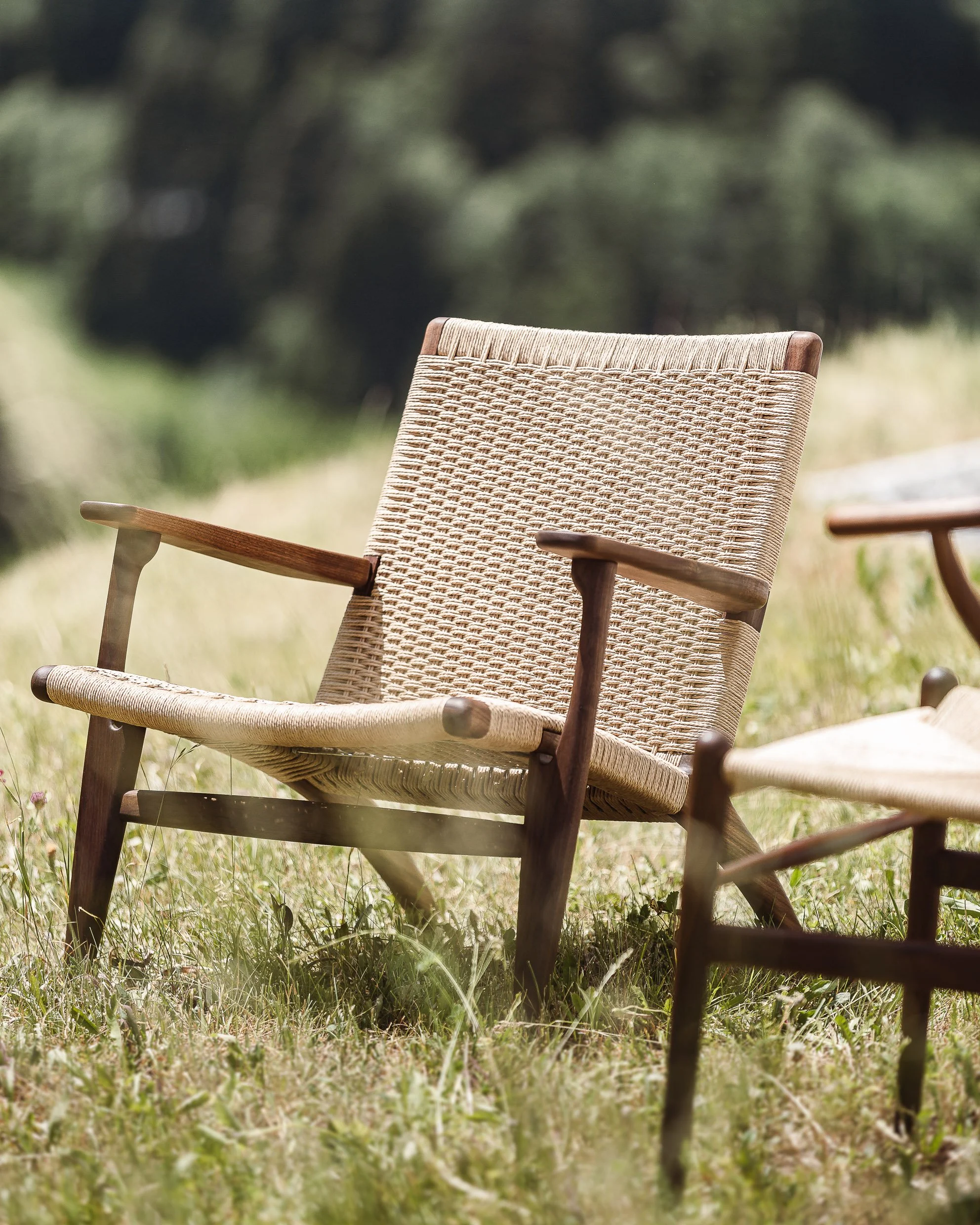 Zweier-Gartenmöbel aus Holz mit geflochtenen Sitz- und Rückenpolstern, im Garten auf Grasstehend.