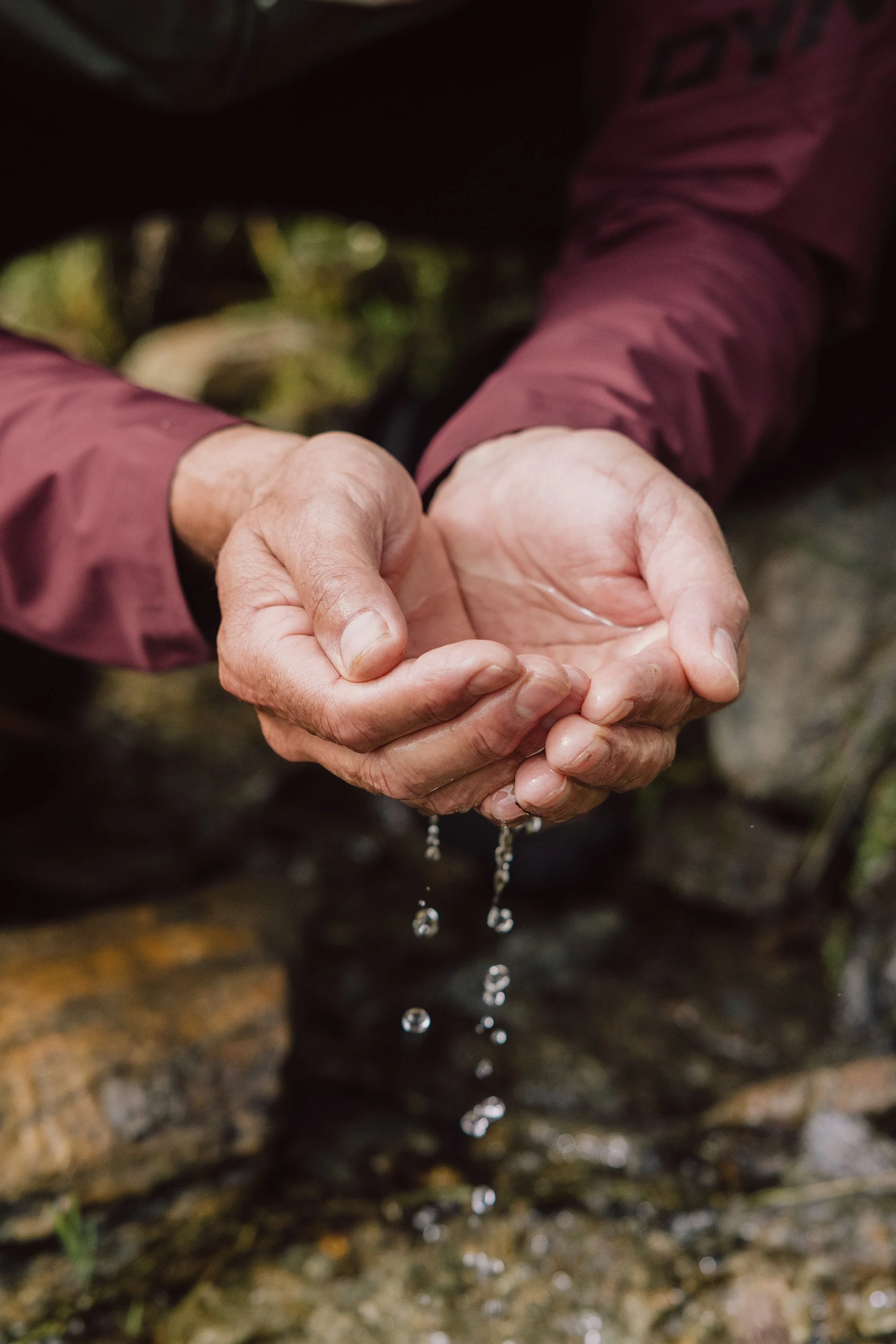 Nahaufnahme von älteren Händen, die Wasser im Freien aus einer natürlichen Wasserquelle schöpfen