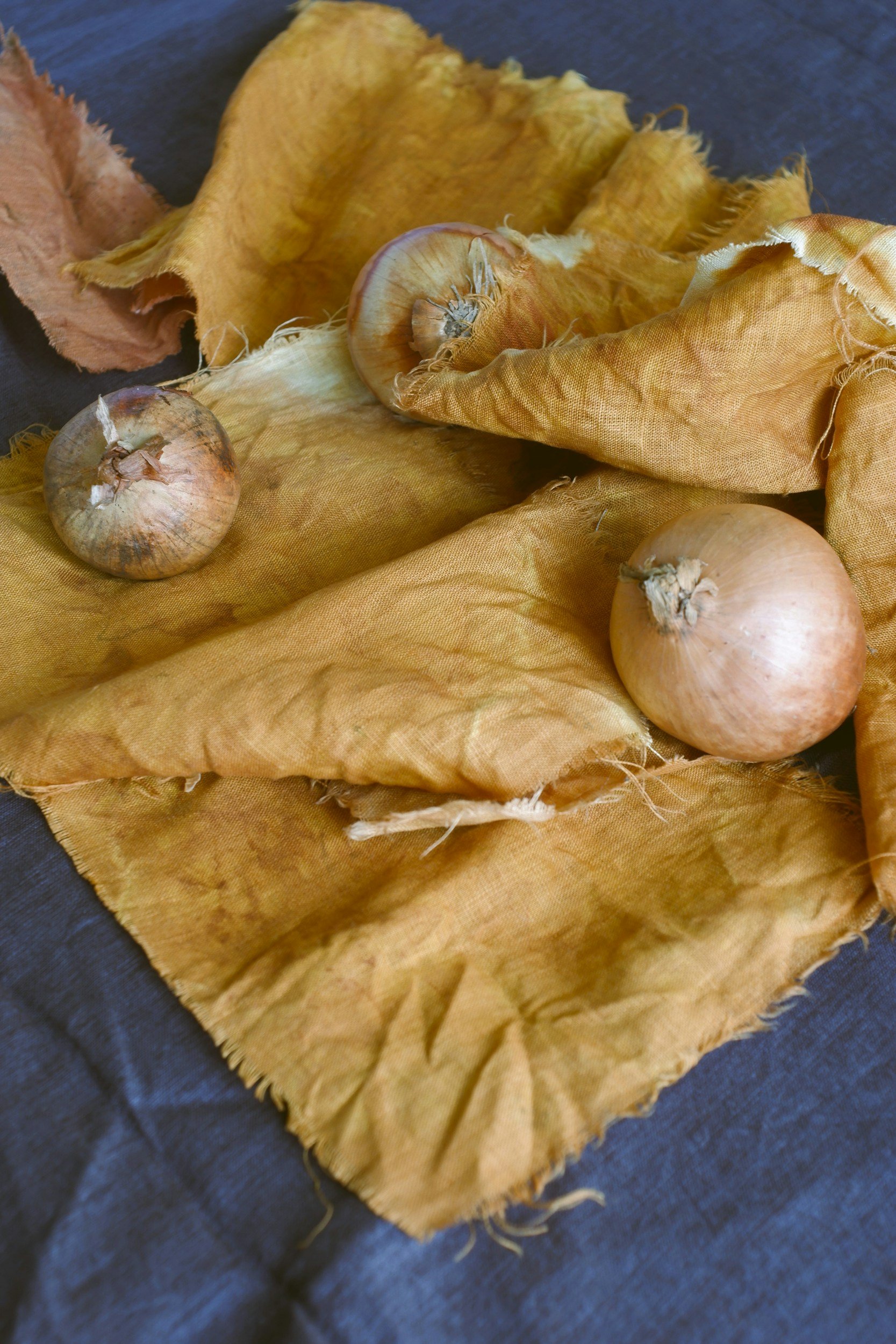 Flo’s Little Gardeners: Wild Colors; Forage to Fabric