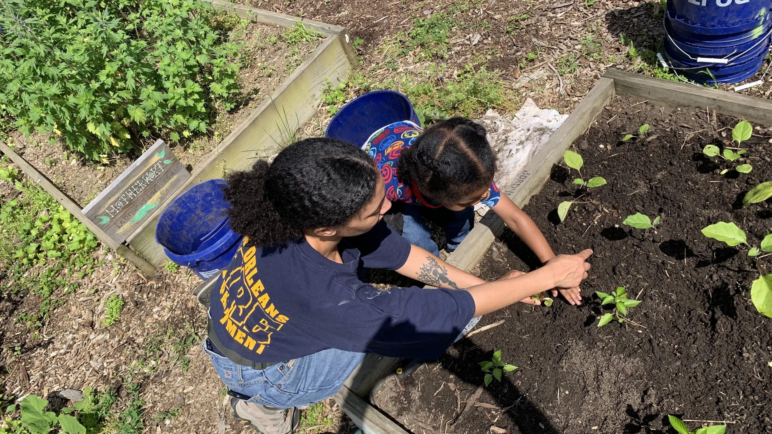 Grow a Plant Workshop