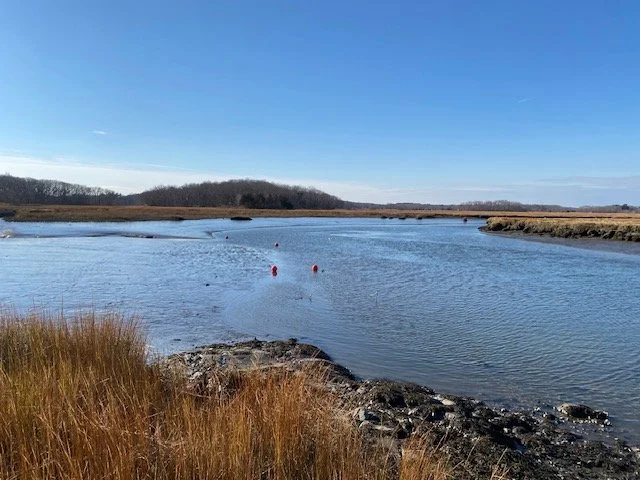 Mud Creek at low tide, with marsh grass along the bank