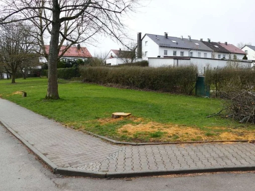 Rätselhaft, wieso es zu dieser Bankrotterklärung kam.