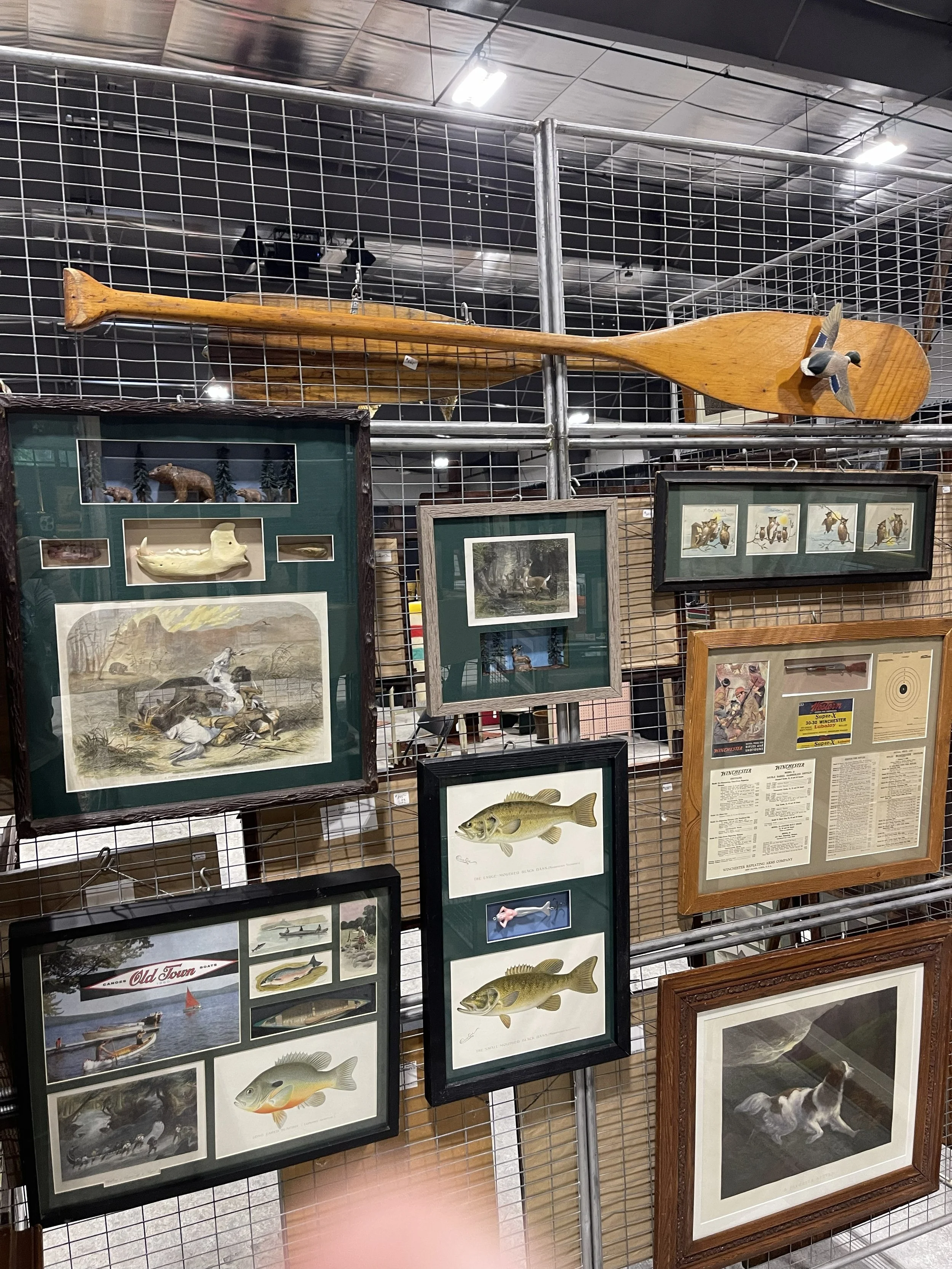 Paddle and Frames.jpg