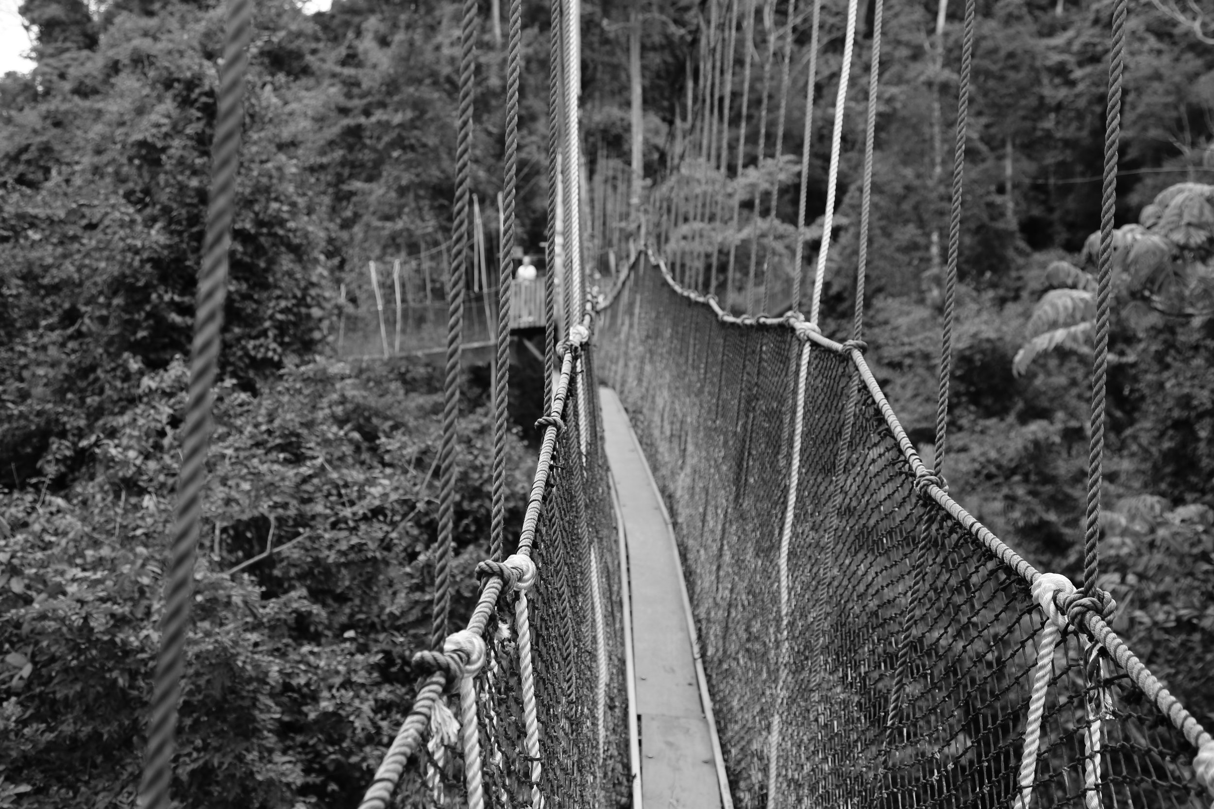 The Bridge