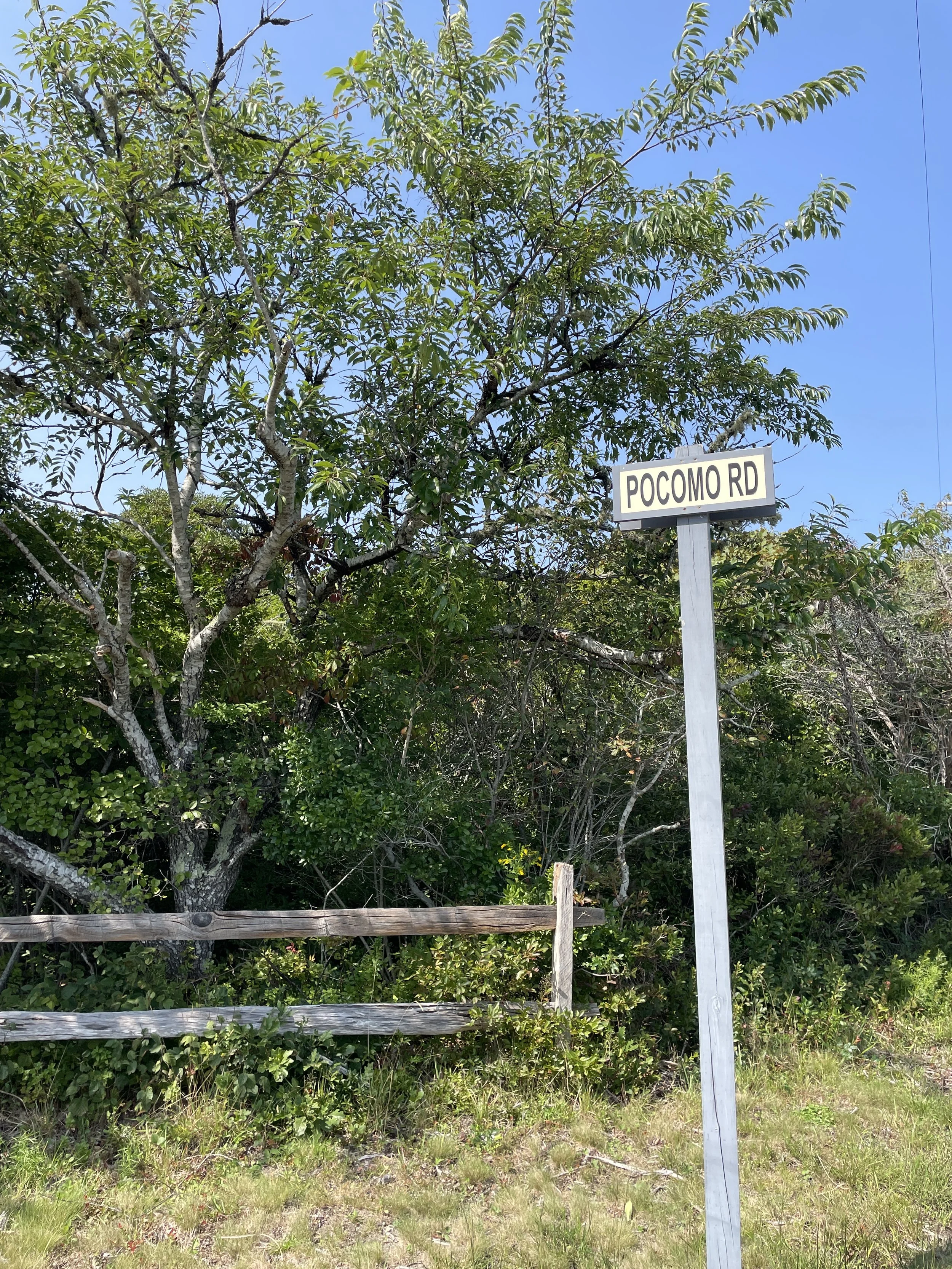 Street sign for Pocomo Road next to a wooden fence and leafy trees.