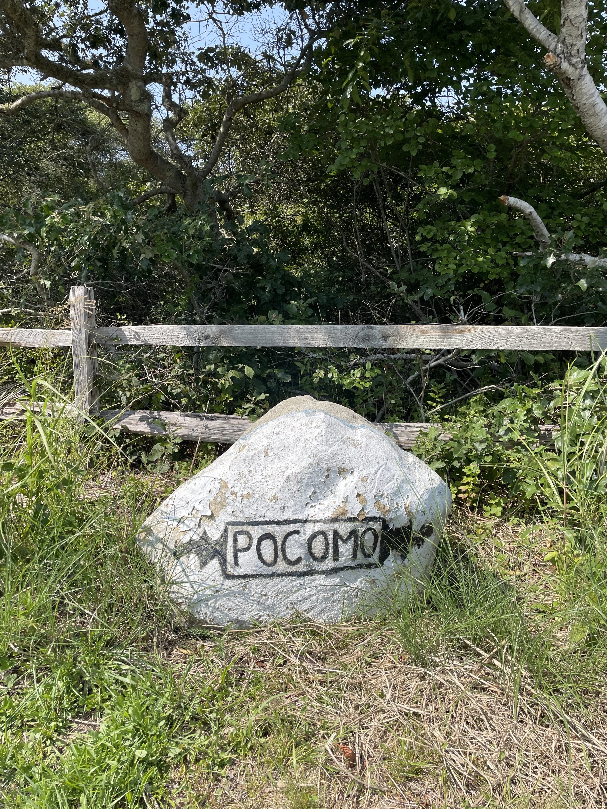 A rock with the word 'POCOMO' painted on it in front of a wooden fence and green foliage.