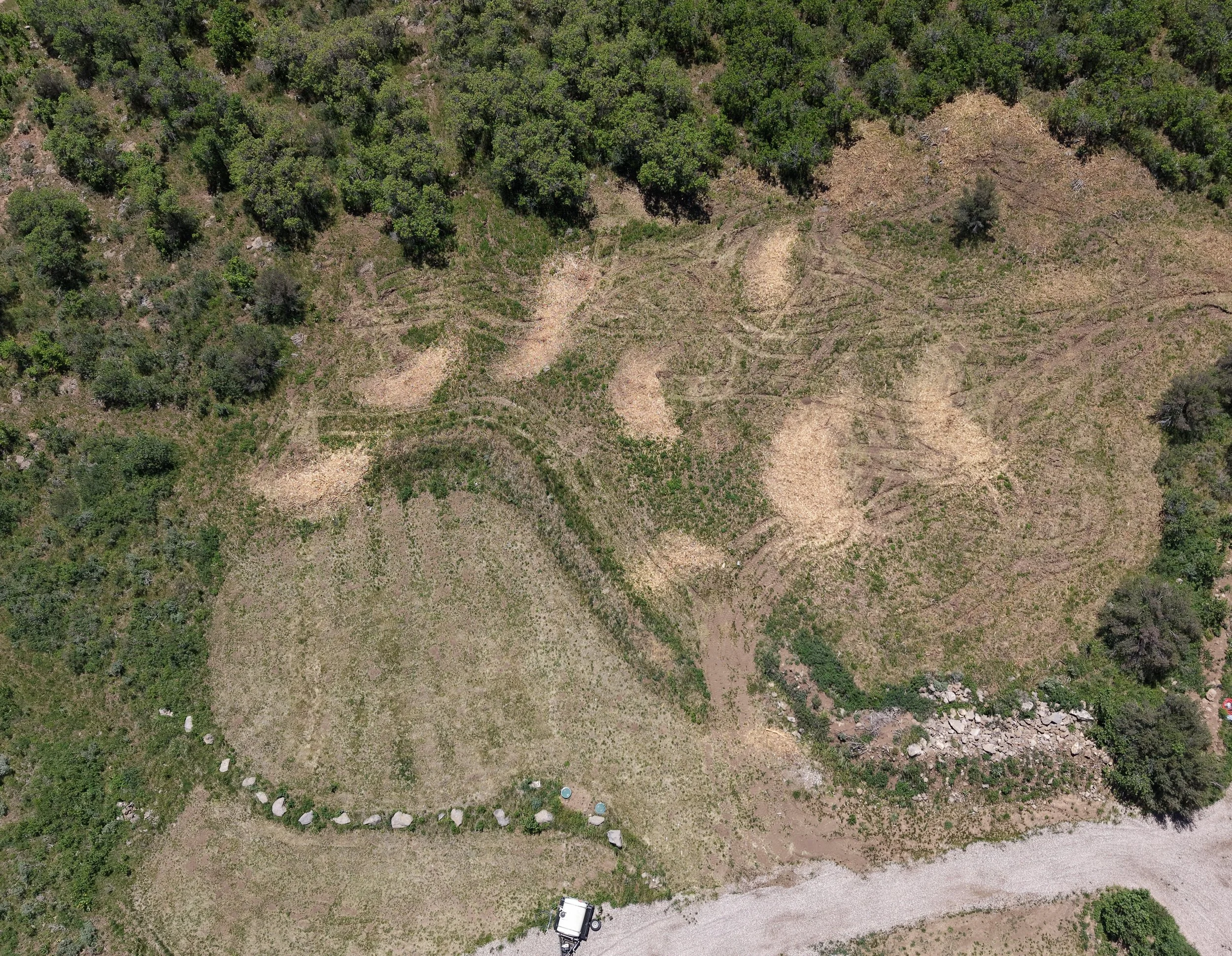 This is an aerial shot of the rough-cut product with no cleanup. There are varying levels of finished product available. 
