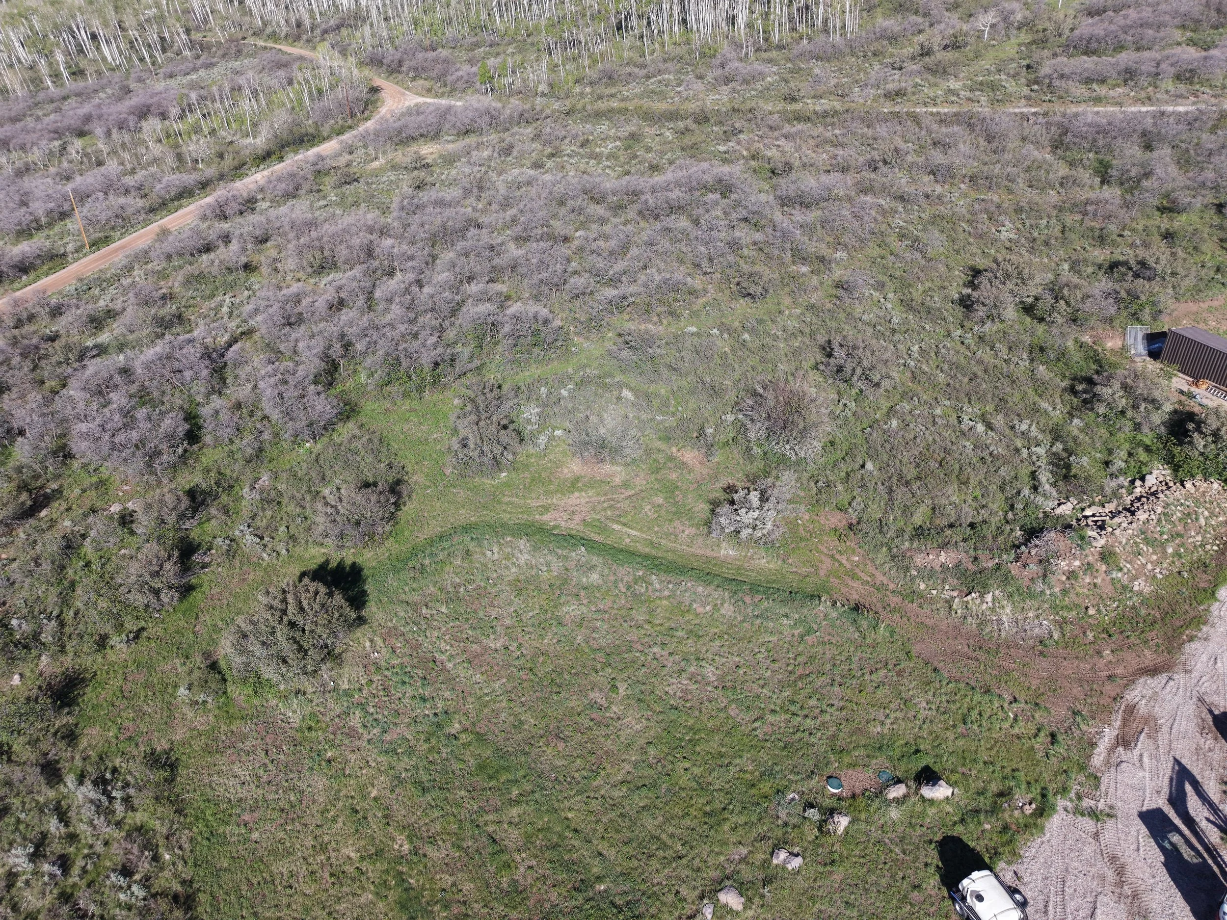 This area had an overgrowth of underbrush, 12+ ft tall serviceberry, sage and other vegetation. A brush cutter and forestry mulcher was used to mow and mulch. All byproduct was left for future nutrients. 