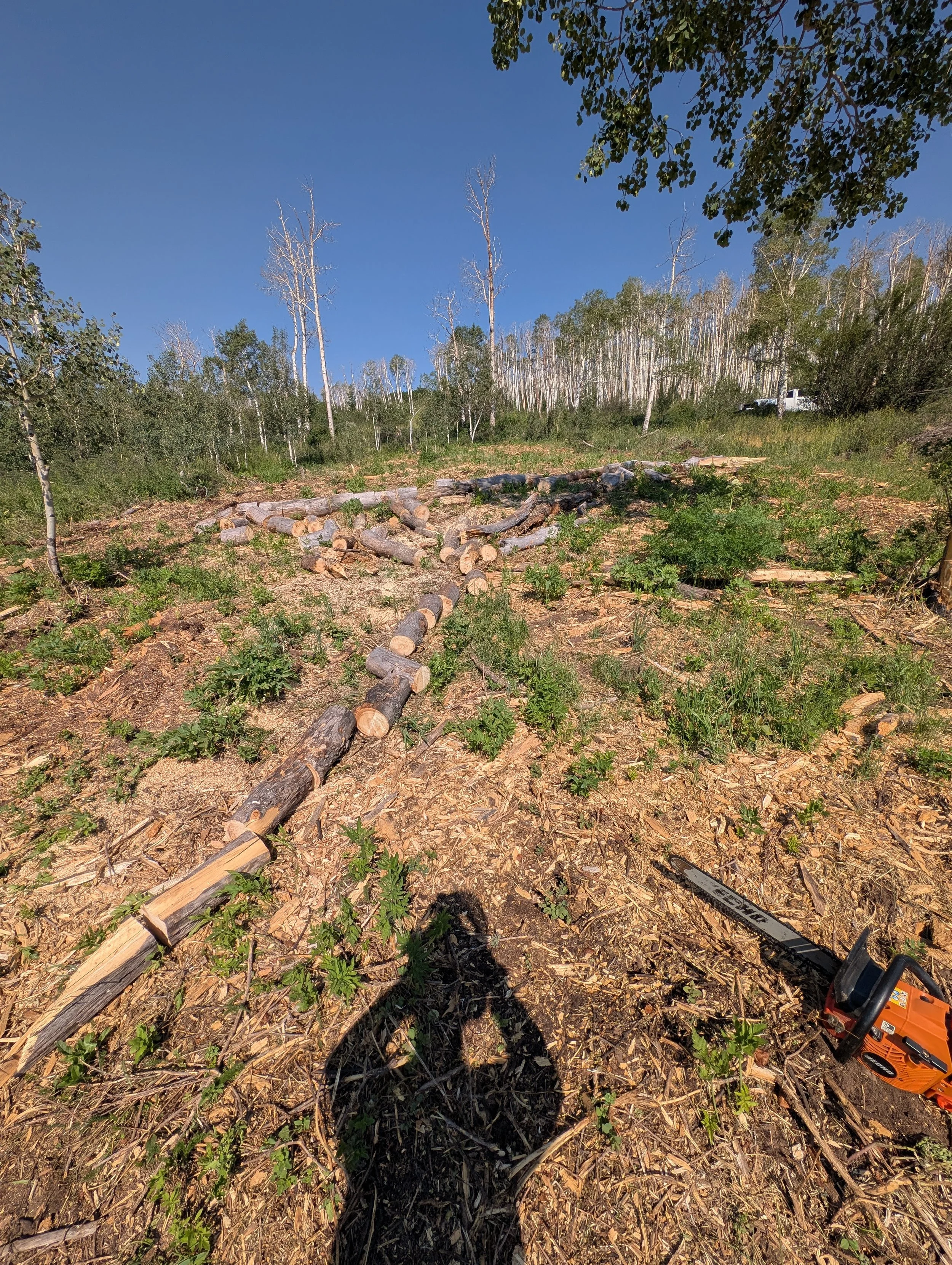 Approximately 30 families received free firewood from about a half an acre of land. All of that wood could be wildfire fuel or fuel to heat someone's home! Much of the wood we remove is given away for firewood. Another way we can promote healthy low 