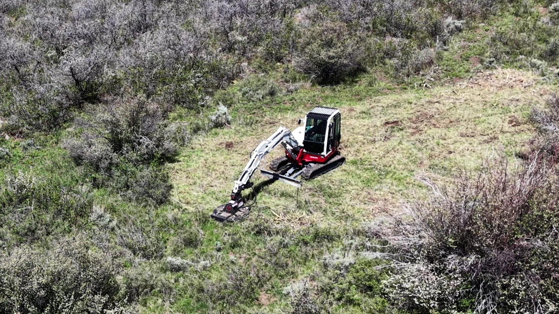 Initial work with a brush cutter. The cutter has an enclosed deck to minimize debris expulsion. 