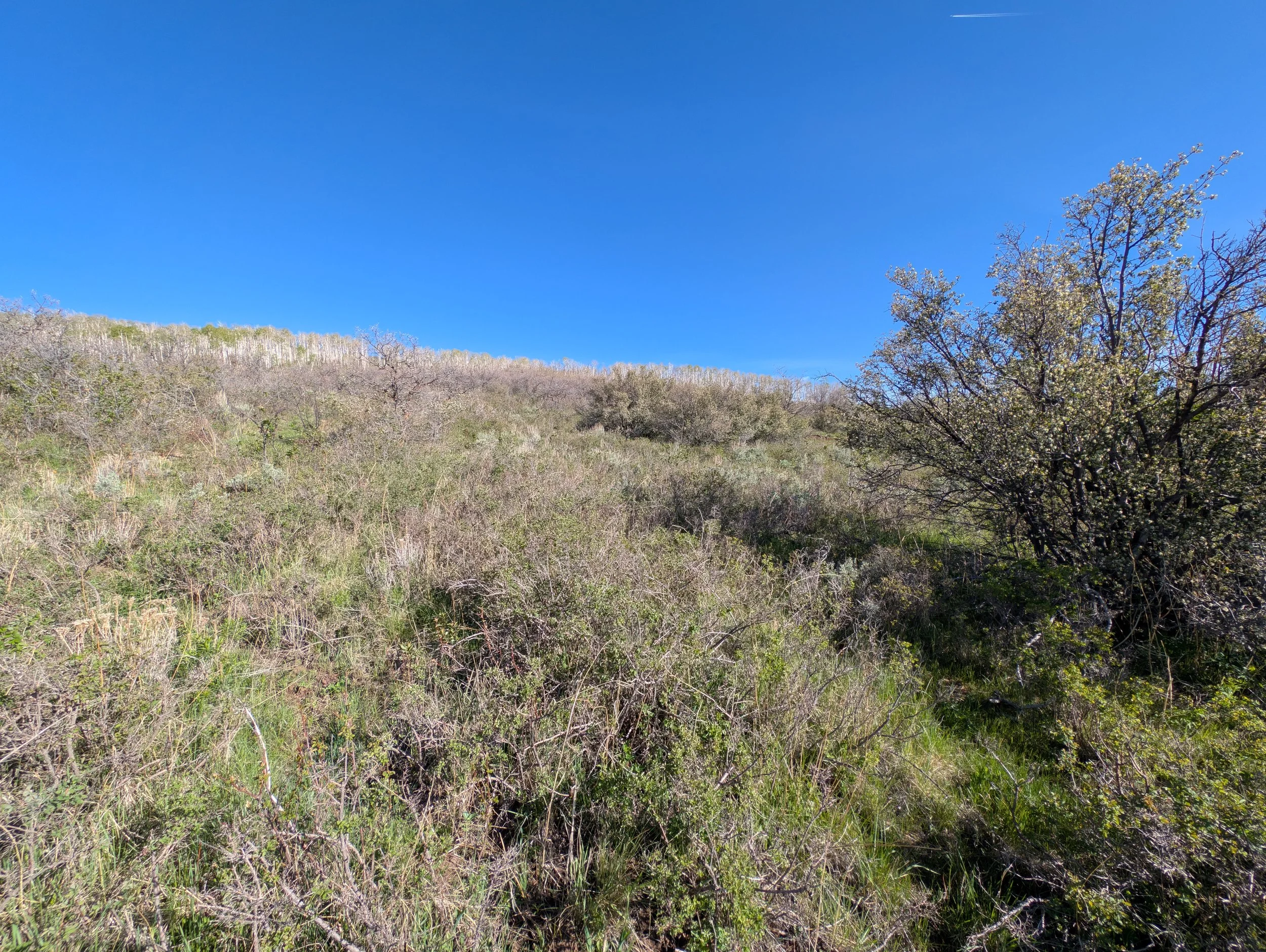 PXL_20260521_143457423.jpg