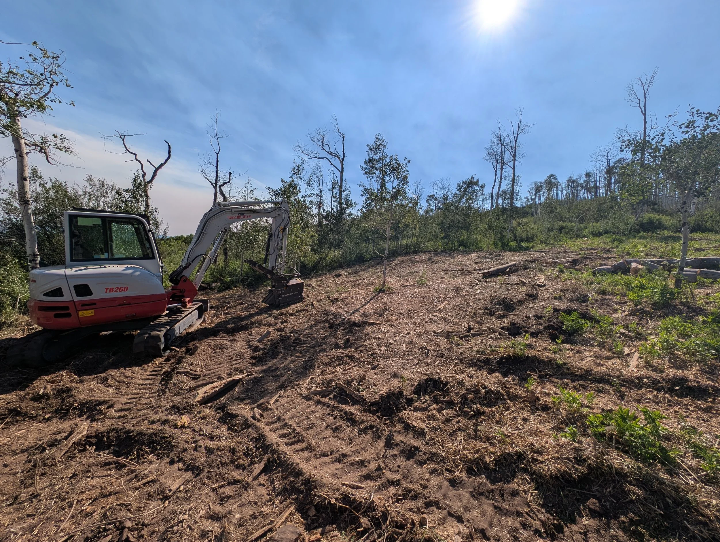 Mulching in process...