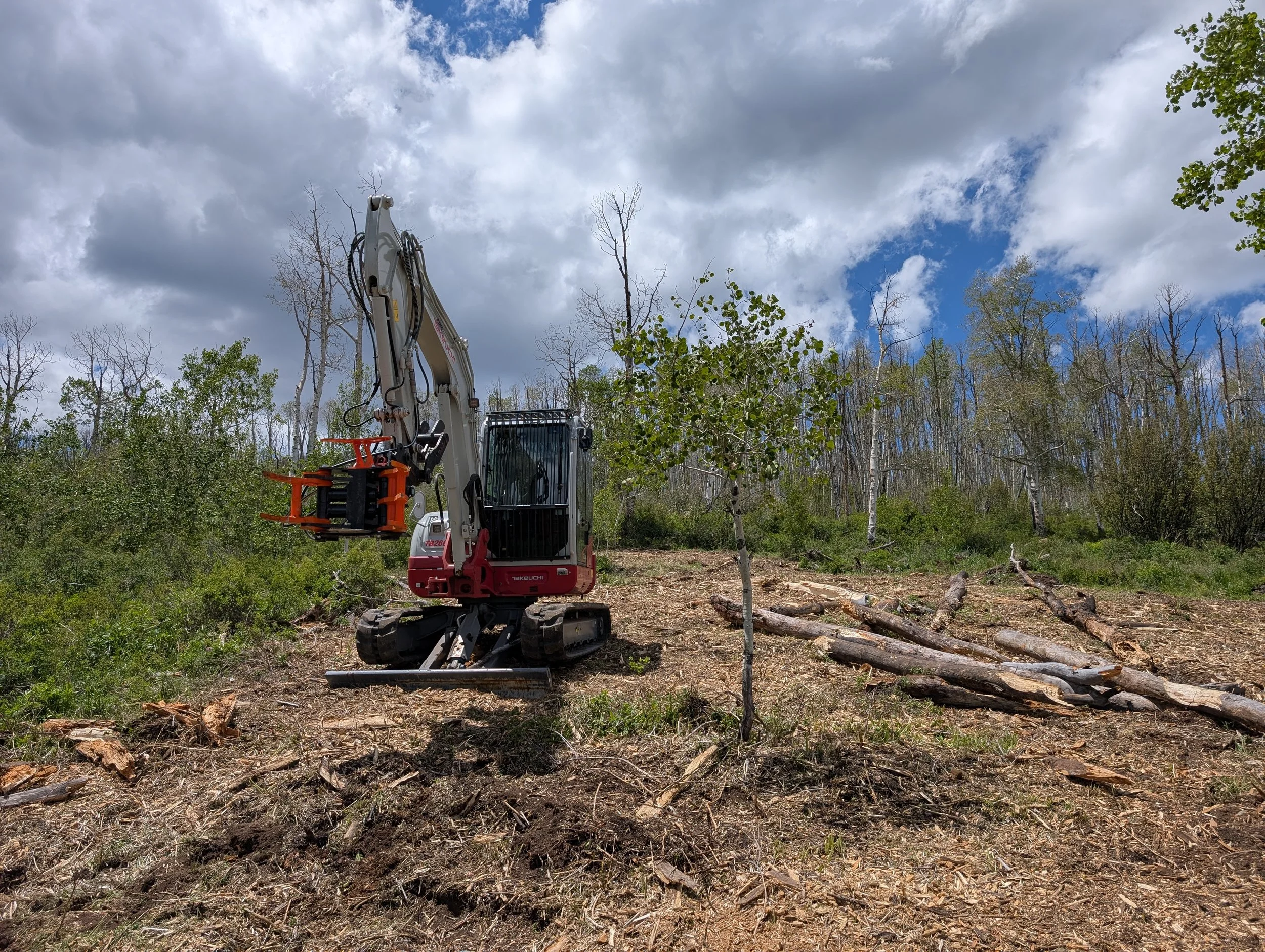 The tree shear gives us a controlled, safe way of felling trees. It also doubles as a grapple allowing us to move large trees quickly. 
