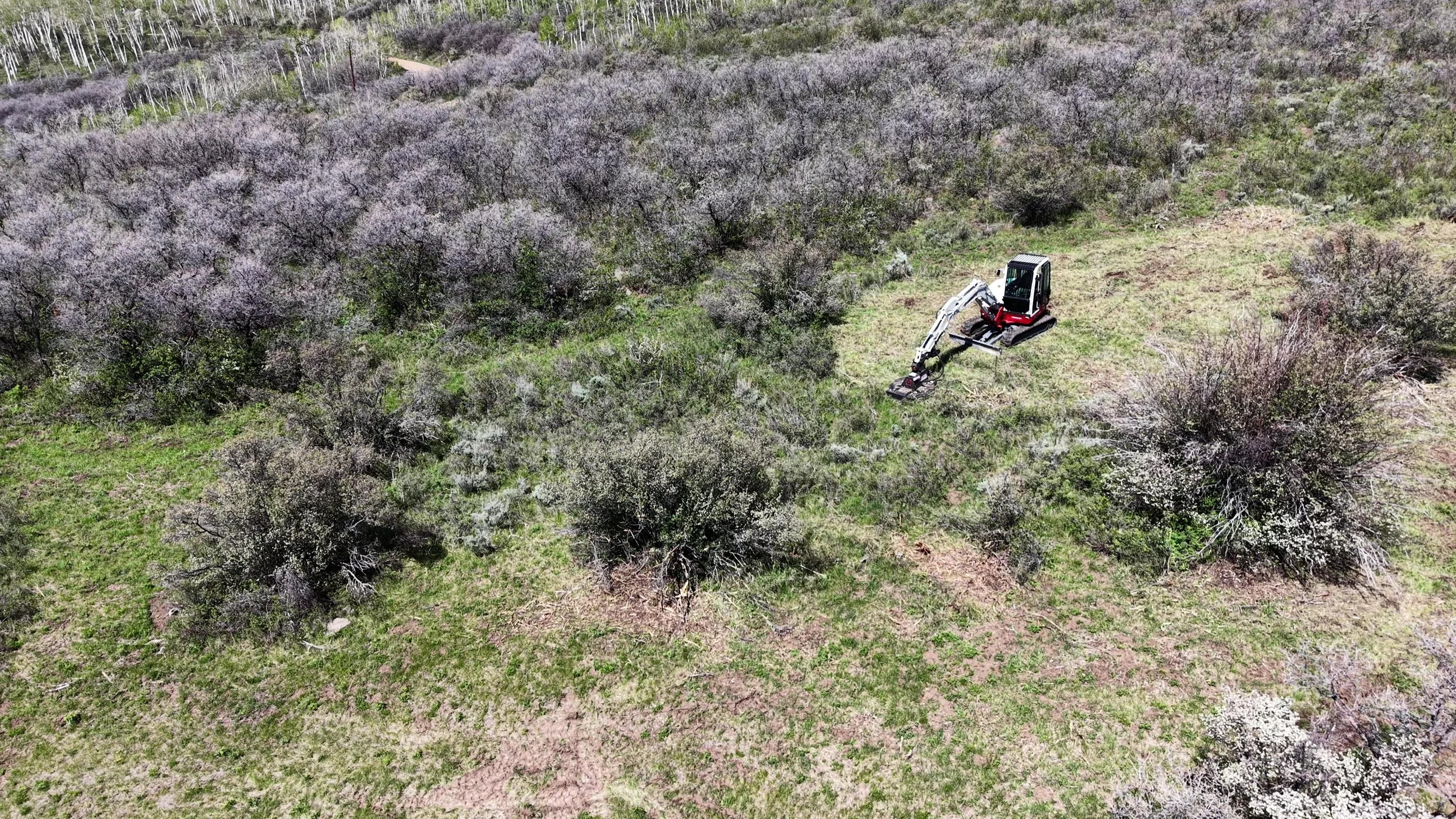 defensible clearing in process brush cutter3.jpg