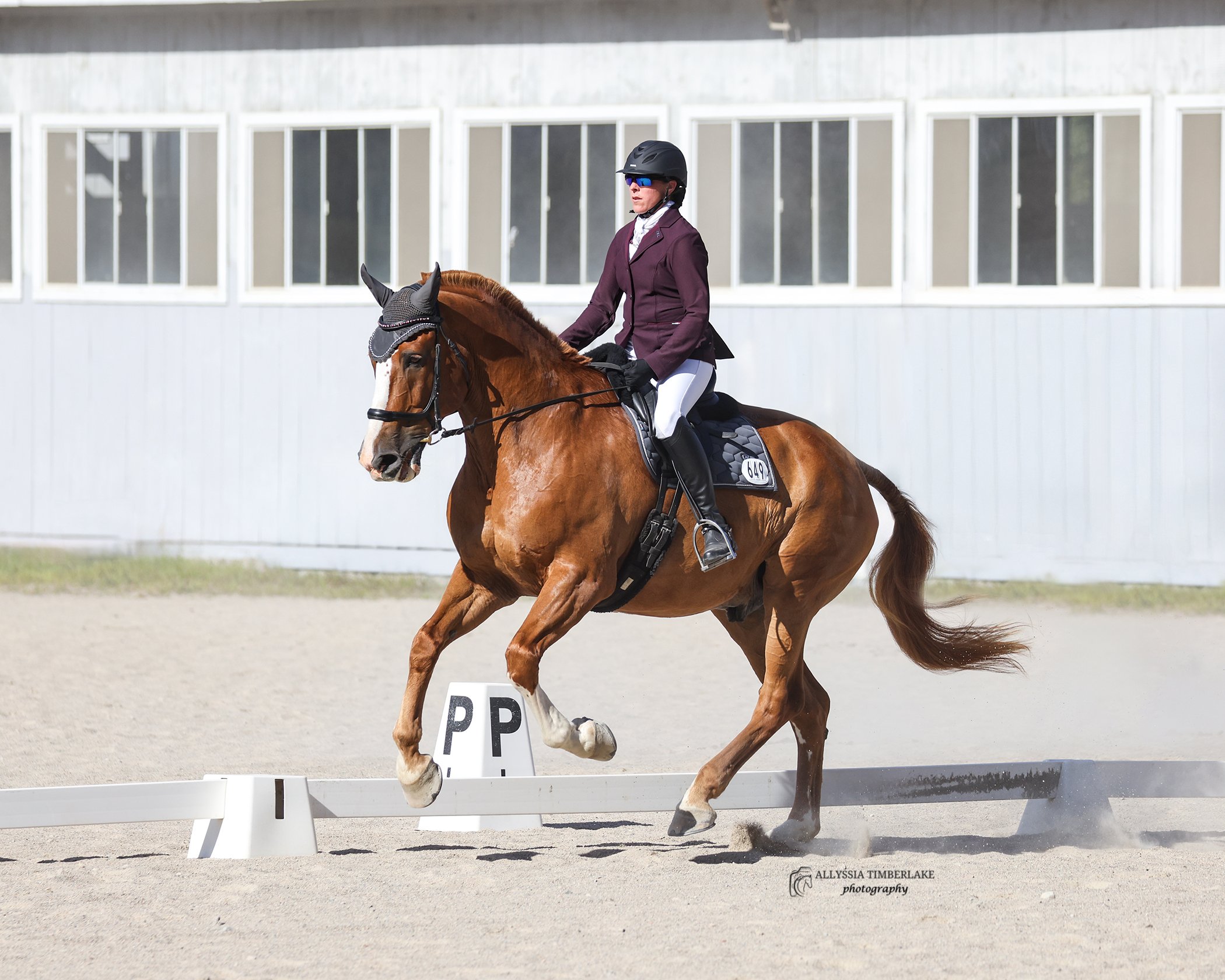 September Schooling Show