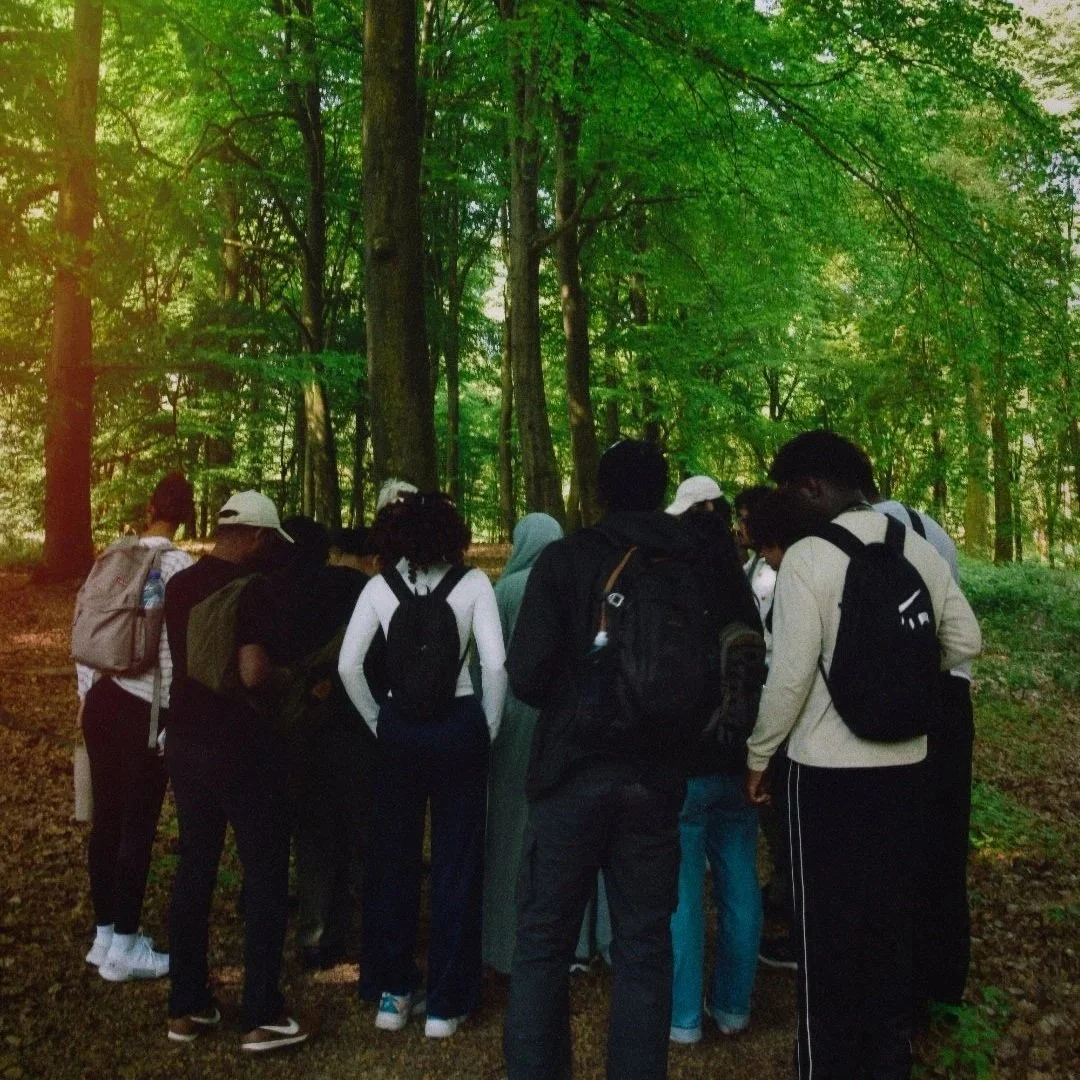Veluwe  2026