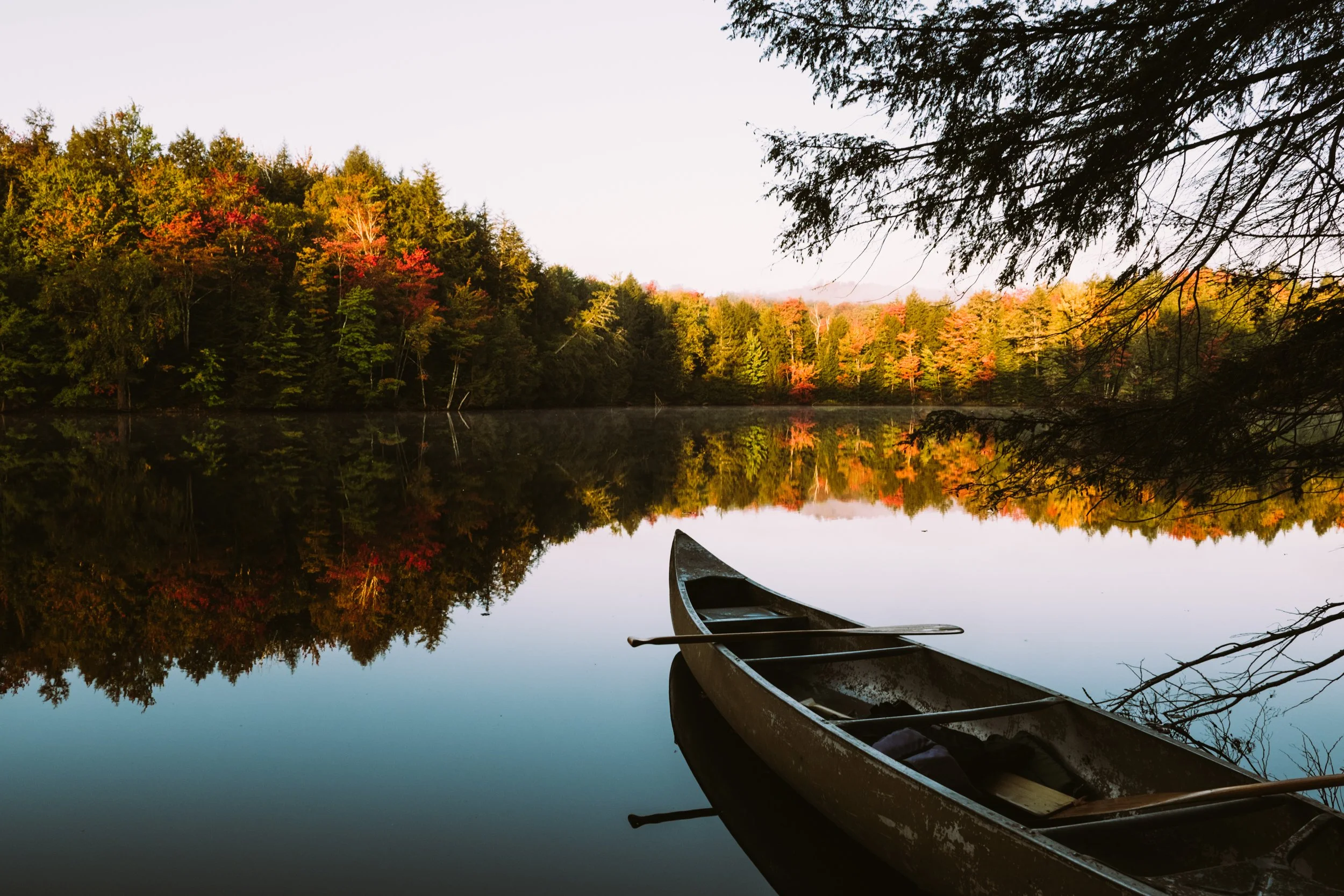 Wanderlust Wednesday: Plan Your Perfect Fall Escape with Hipcamp’s Foliage Map