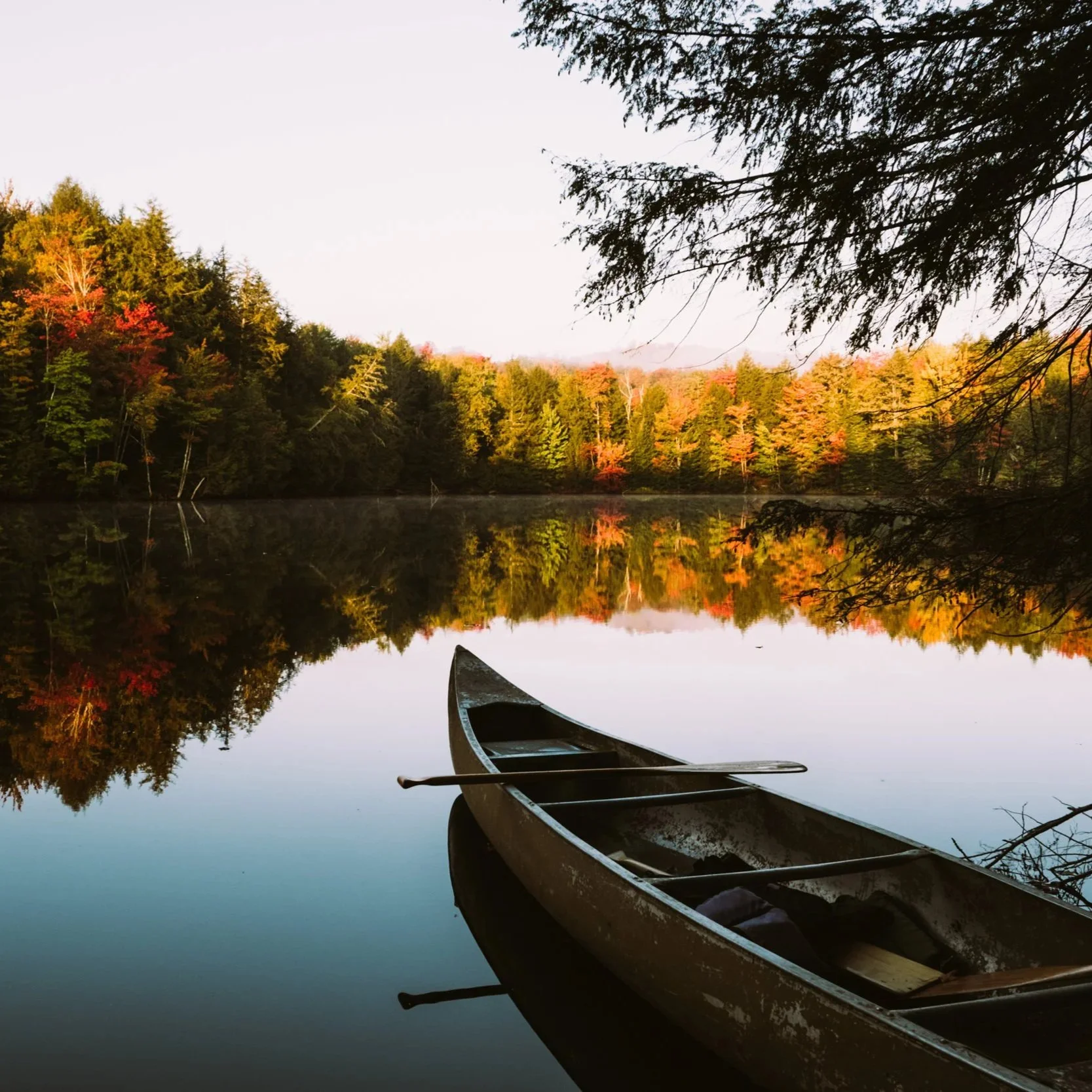 Wanderlust Wednesday: Plan Your Perfect Fall Escape with Hipcamp’s Foliage Map