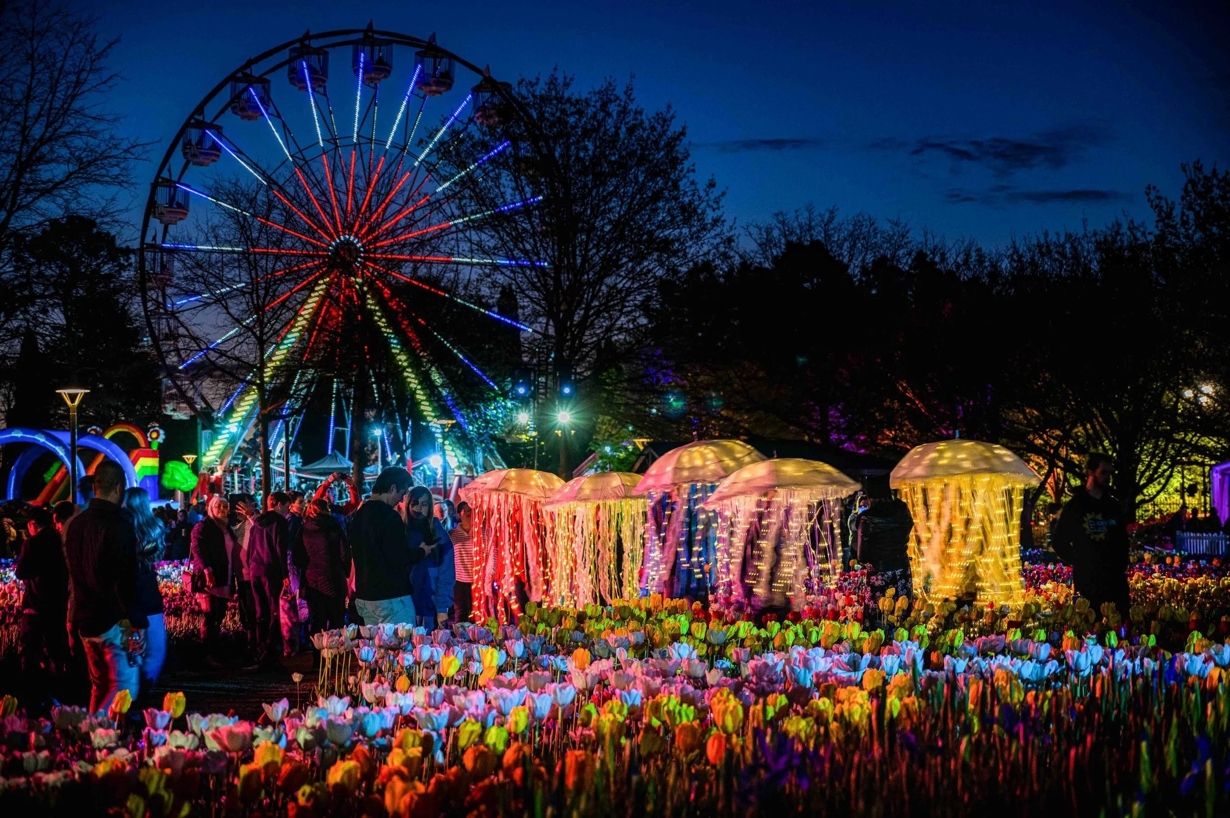 Monday Motivation: Spring Blooms in Canberra