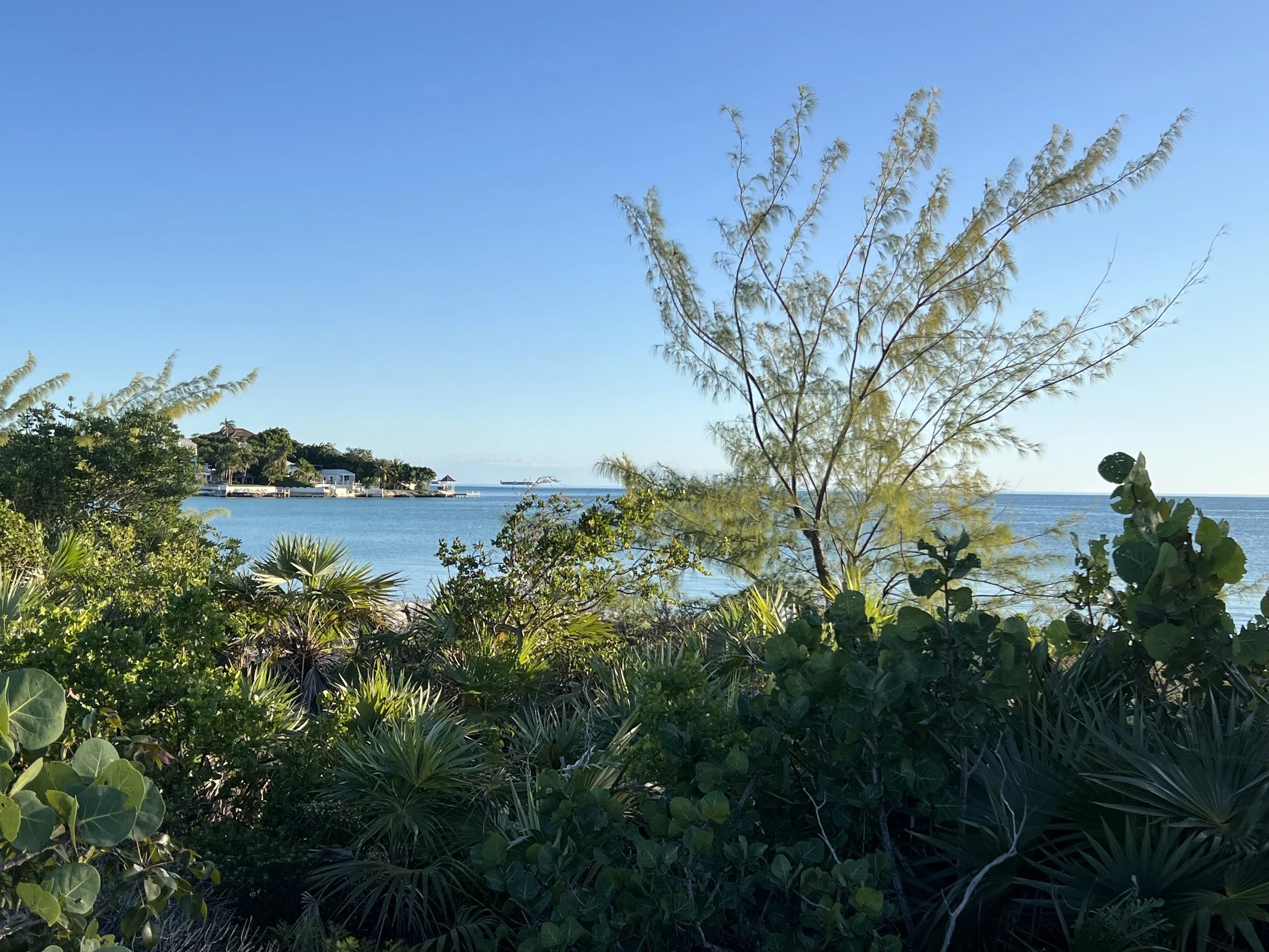 Monday Motivation: Plan a family beach vacation to Turks and Caicos