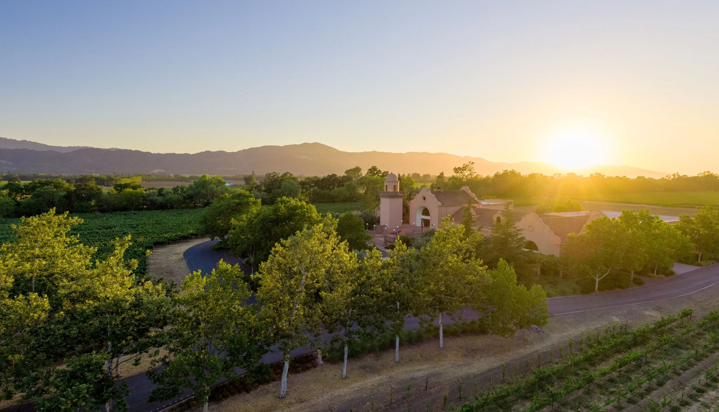 Family Fun in Napa Meets Wine Country Charm at Groth Vineyards &amp; Winery