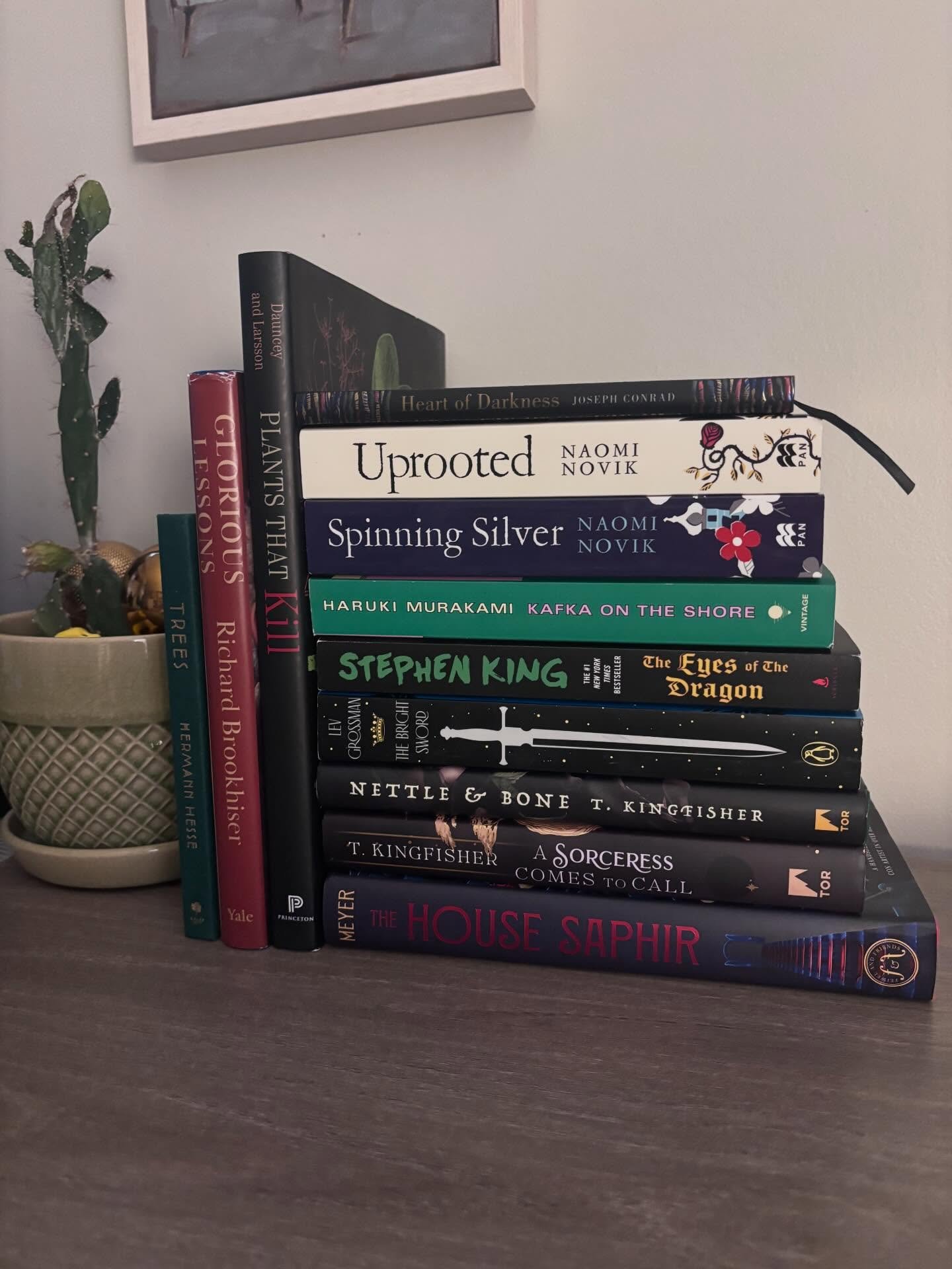 What&rsquo;ll be your first read of the year??

Happy New Year, friends! 🥂 Starting off the year with my Christmas haul of new books. Got a nice mix of fiction and nonfiction&mdash;I&rsquo;m so excited to read these!

This year&rsquo;s goal is to re