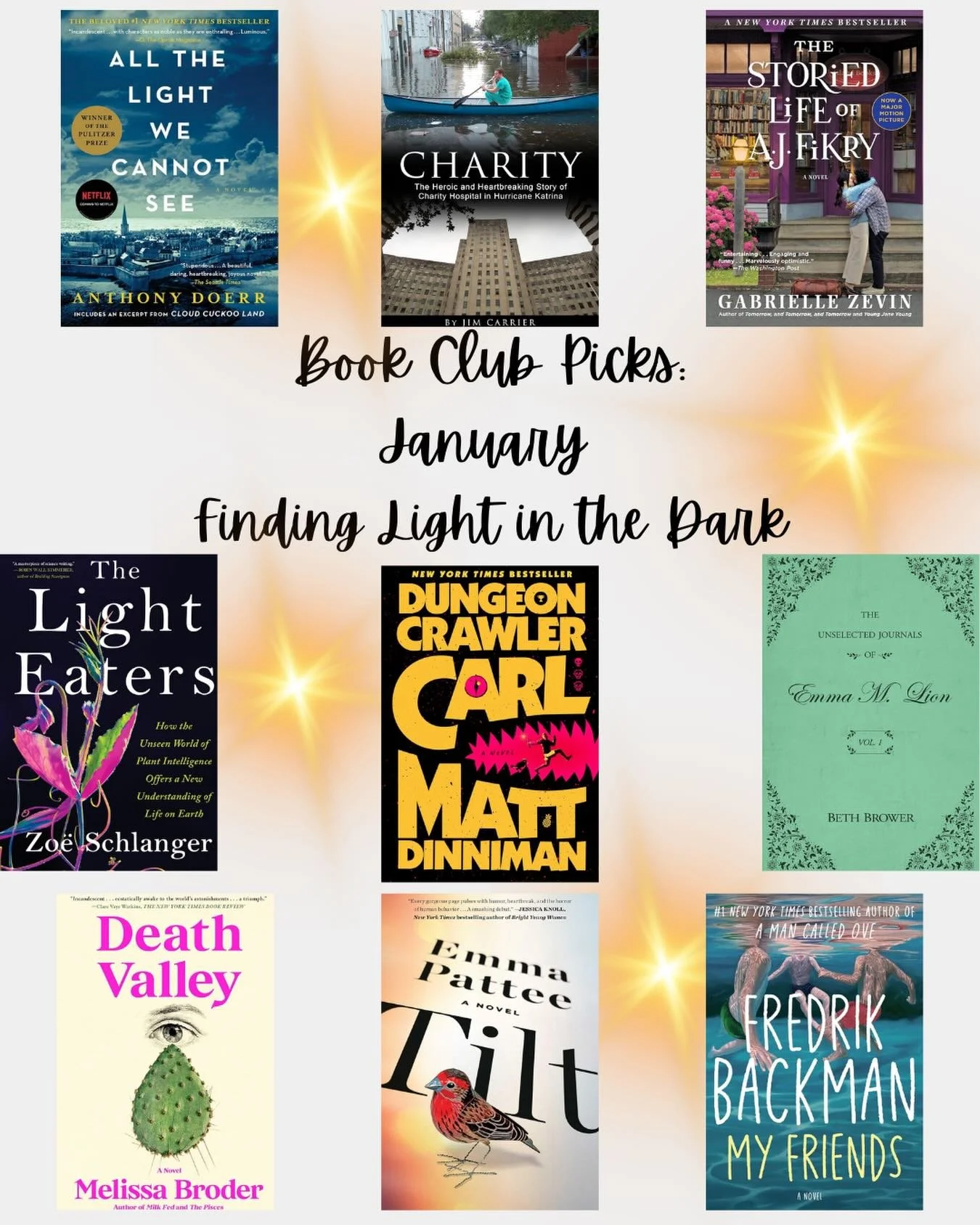 In honor of February&rsquo;s Book Club tonight, finally posting January&rsquo;s reads&mdash;whoops! Our theme for January was &ldquo;Finding Light in the Dark,&rdquo; and we had such a good mix of genres and stretches on the theme. 

Three of these w