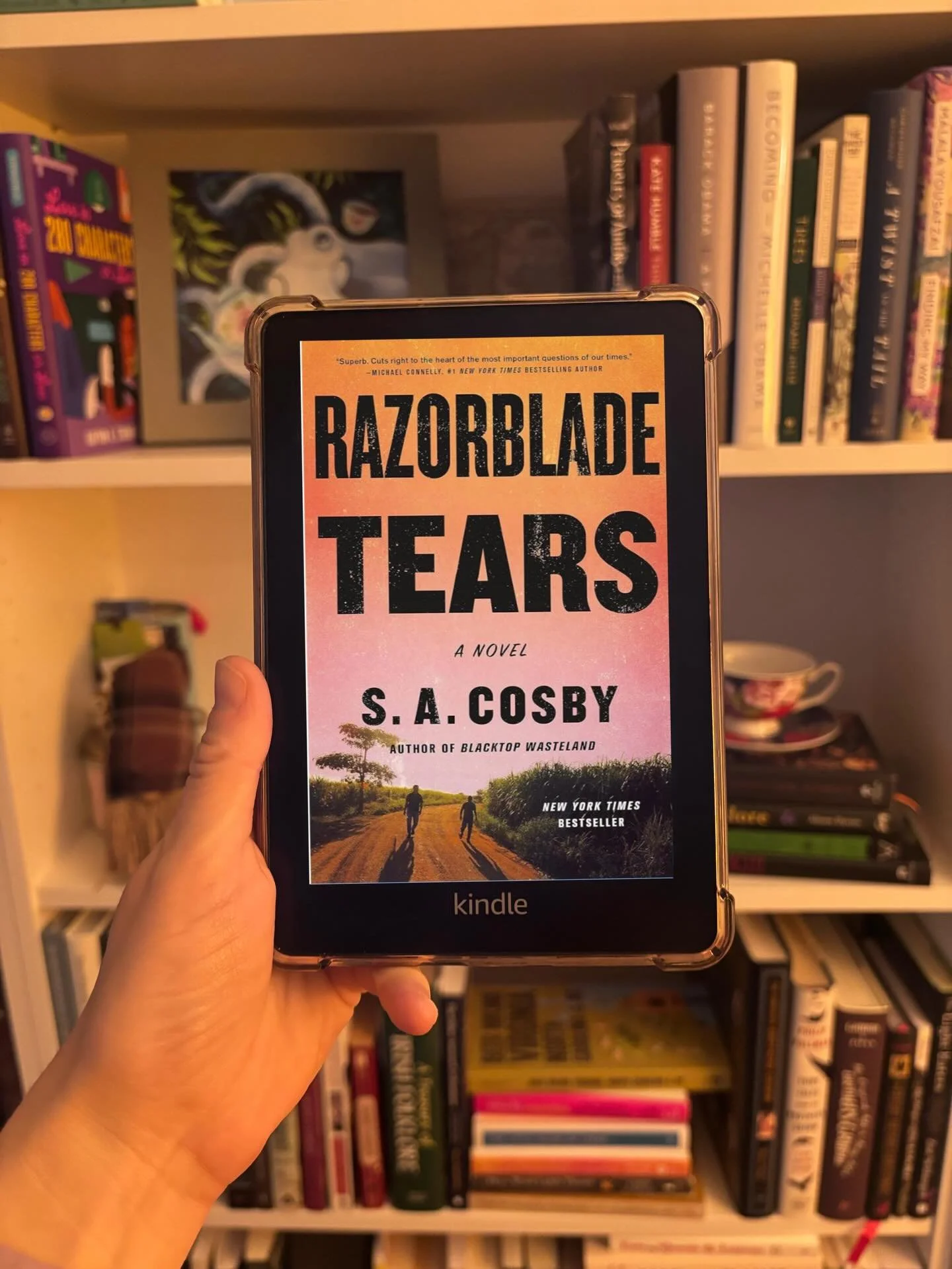 I LOVE vigilante/revenge movies, but it recently dawned on me that I&rsquo;ve never read a book of that type, so when I saw Razorblade Tears, I thought &ldquo;yes, this is it.&rdquo; 

When I say &ldquo;I don&rsquo;t read thrillers,&rdquo; I mean it.