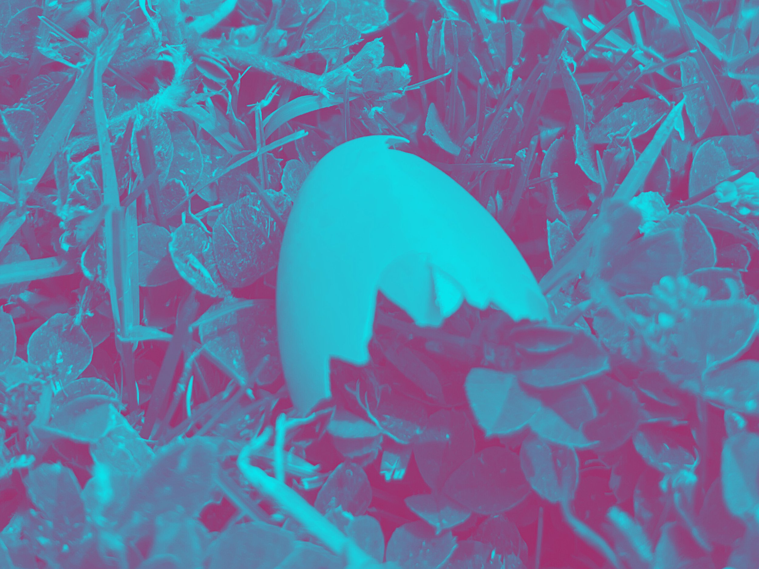 Cracked Open: A Creative Invitation from the Earth