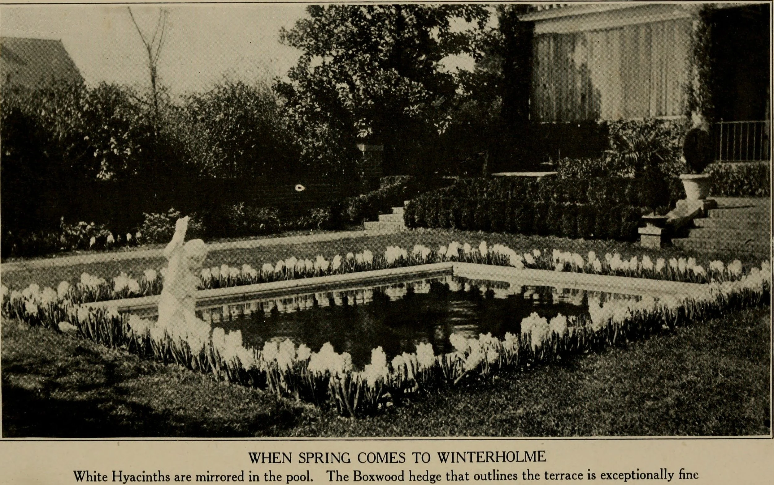 The_blossom_circle_of_the_year_in_southern_gardens_(1922).jpg
