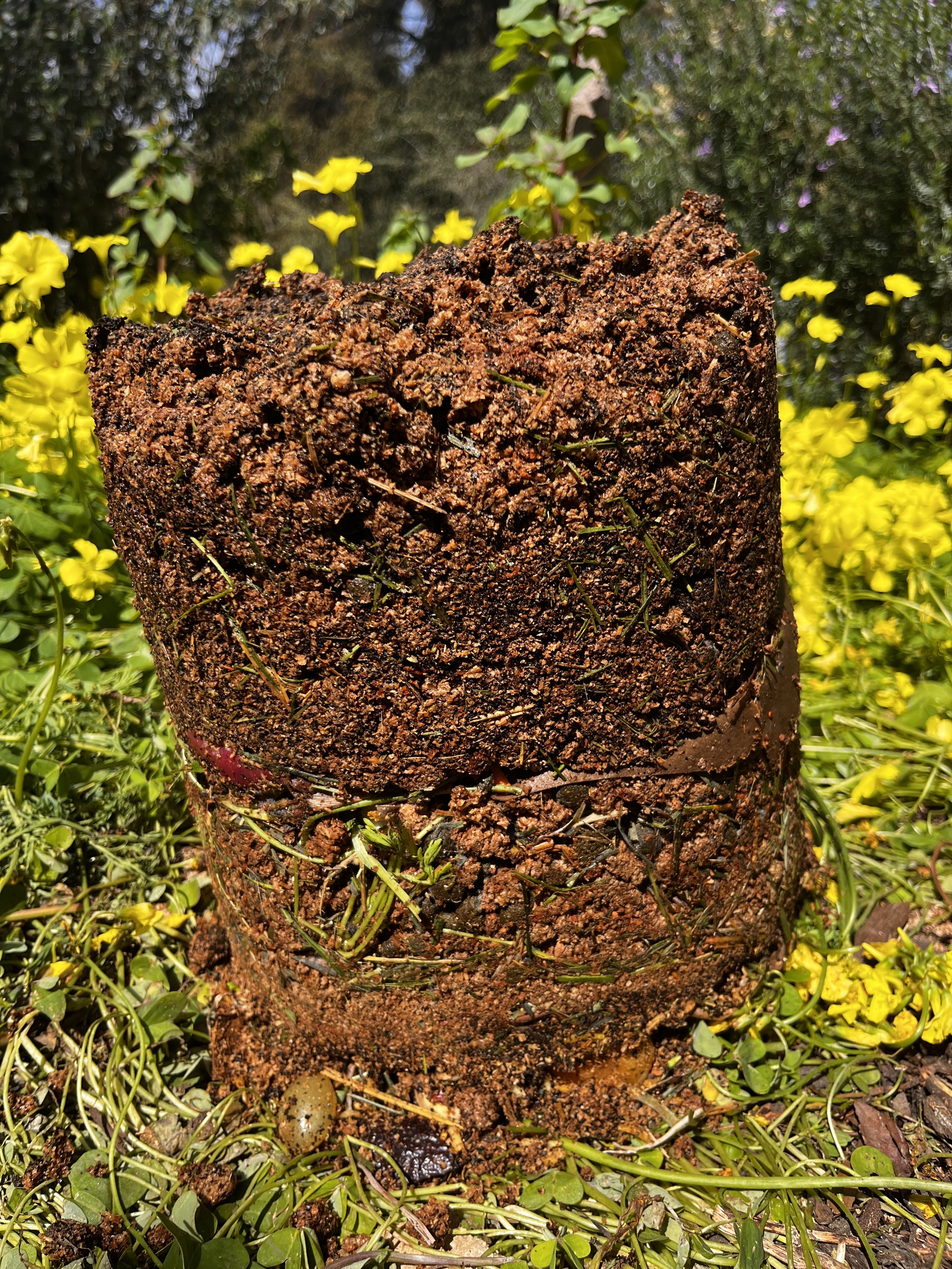 Composting as Somatic Practice: A Quiet Space for Artists, Feelers & Anyone Carrying the Weight of the World