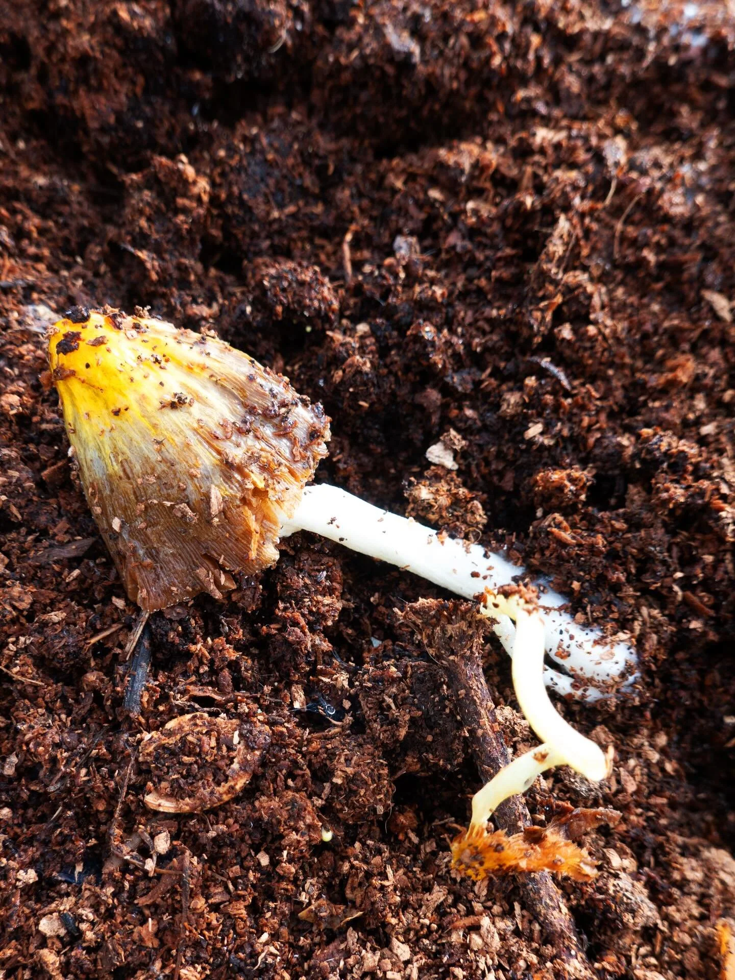 be a mess. nature loves a mess.