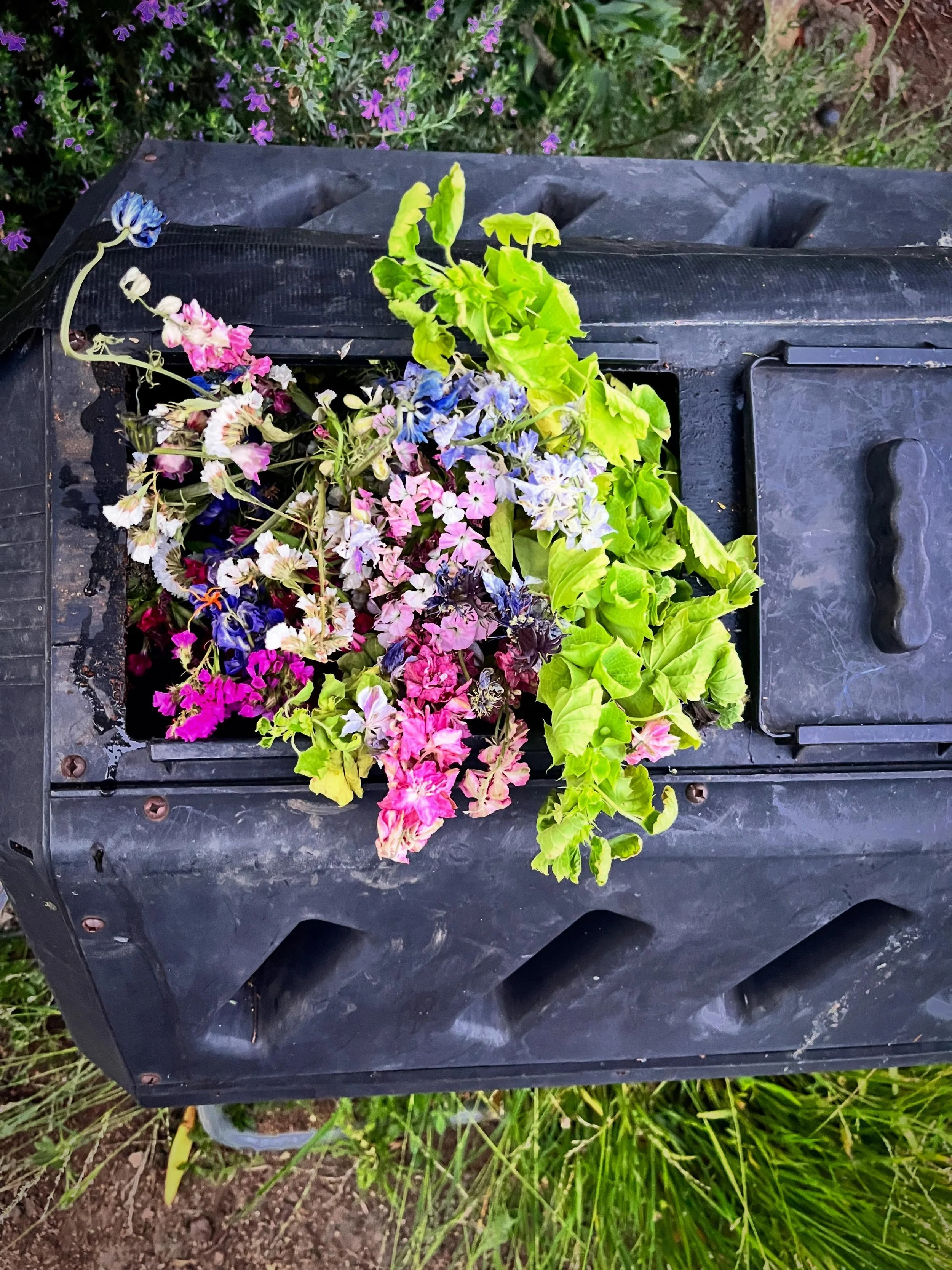 I&rsquo;m not gonna lie, you give me flowers and this will be the most pleasurable part for me 🥰 #compost